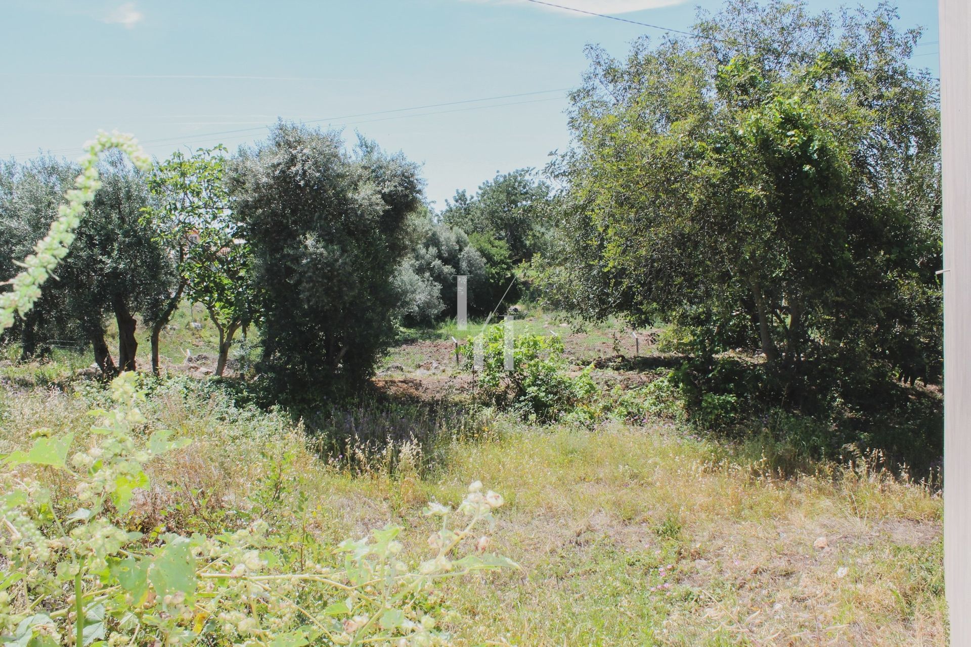 Tanah di São Brás de Alportel, Faro 10886820