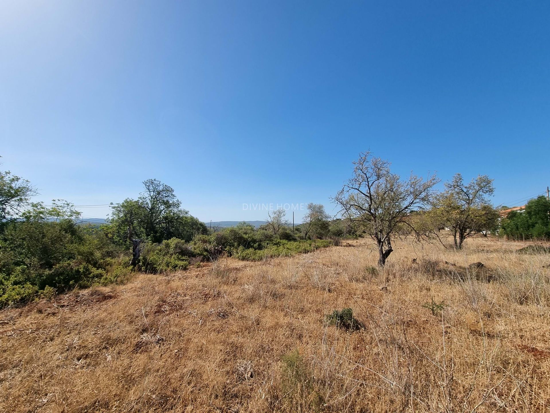 Terra no Cerro das Taipas, Faro 10887032