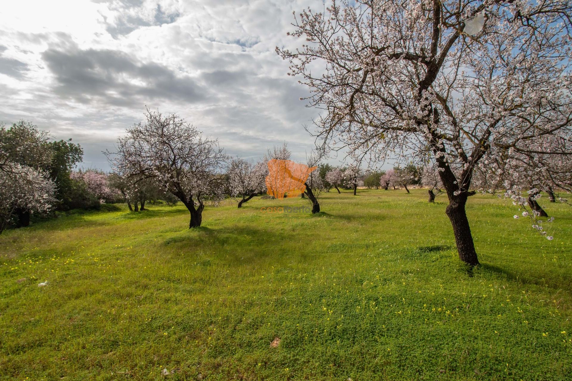 Земельные участки в Бесура, Фару 10887156