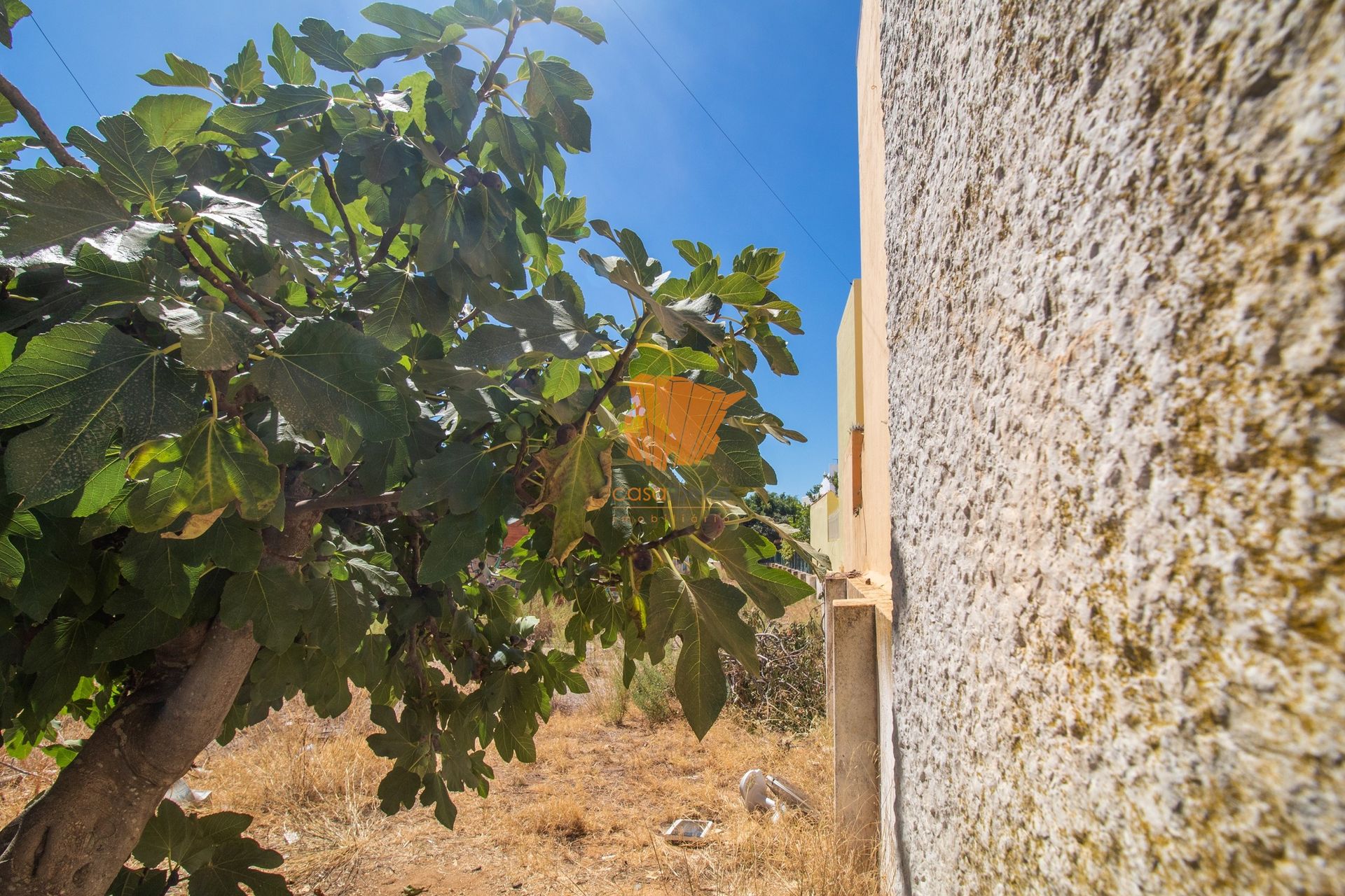 Terre dans Quelfes, Faro 10887218