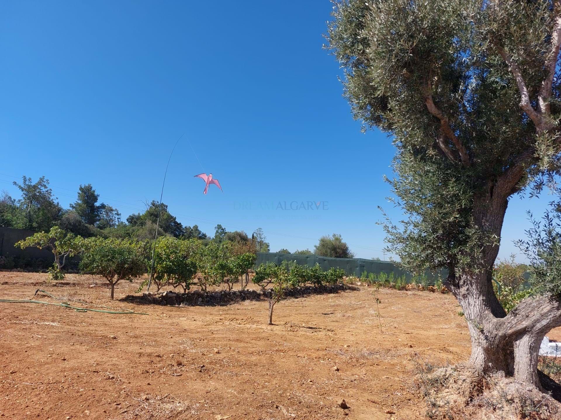 집 에 Portimão, Faro District 10887260