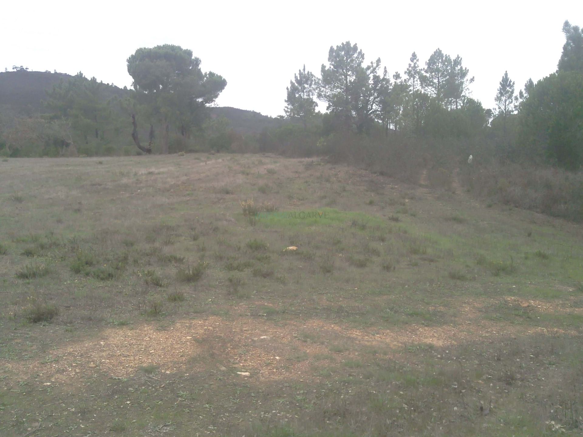 Land i Aljezur, Faro 10887293