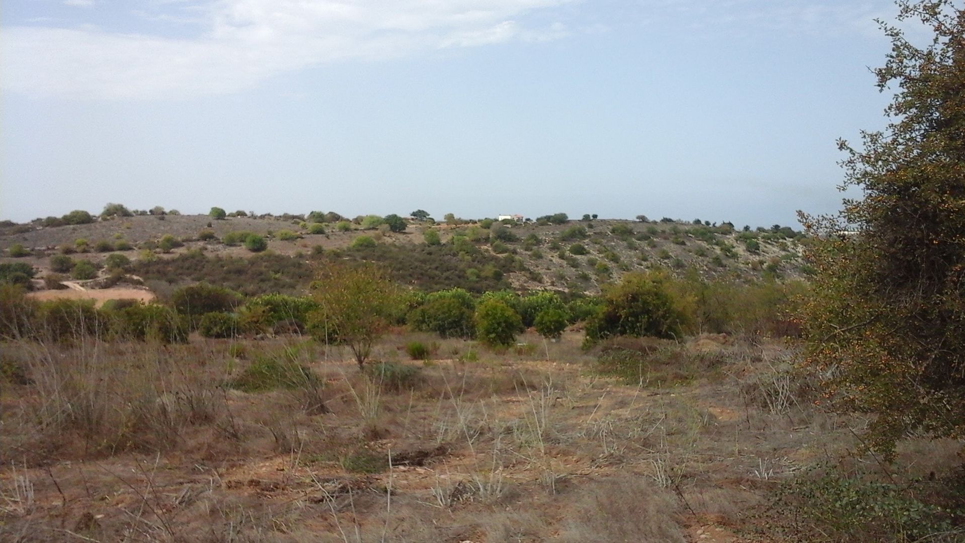 Land i Polis, Pafos 10887305