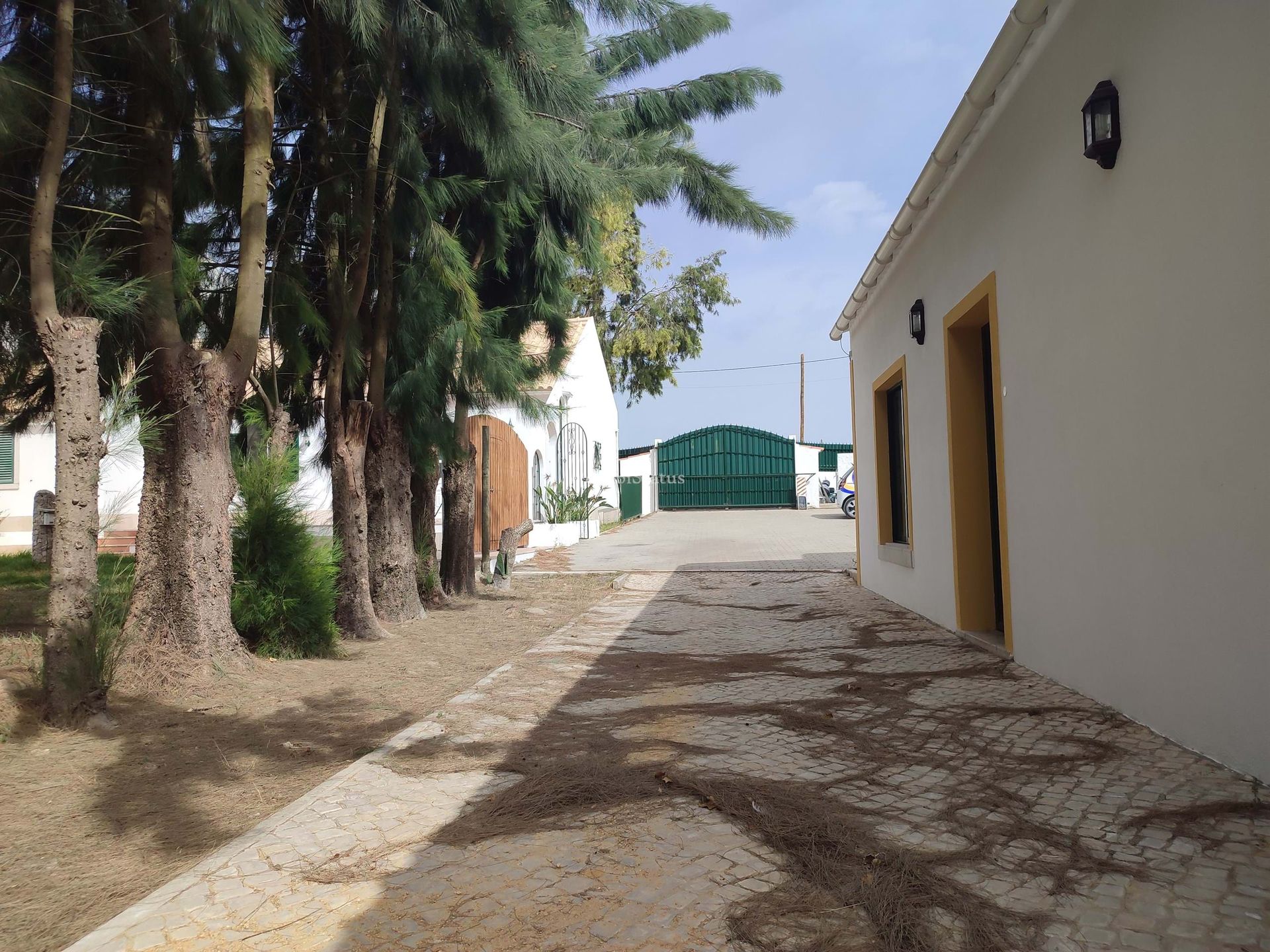 casa en Cotovia, Setúbal 10887484