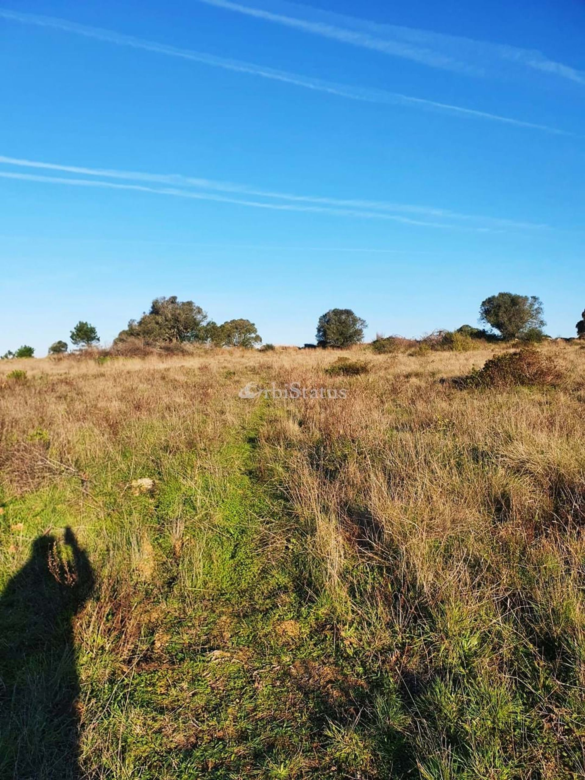 Terra no Castelo, Setúbal 10887486