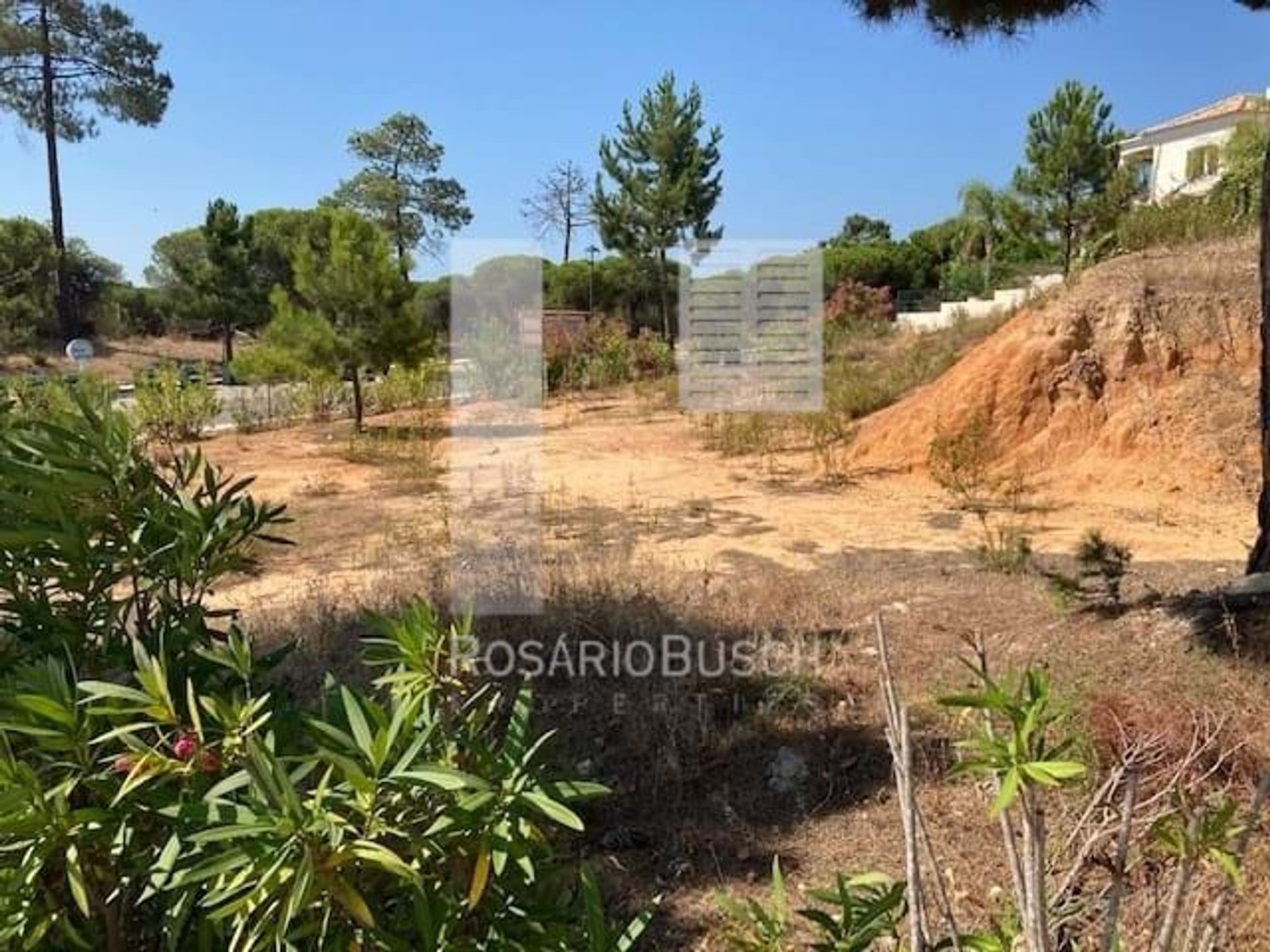 Land i Escanxinhas, Faro 10887859