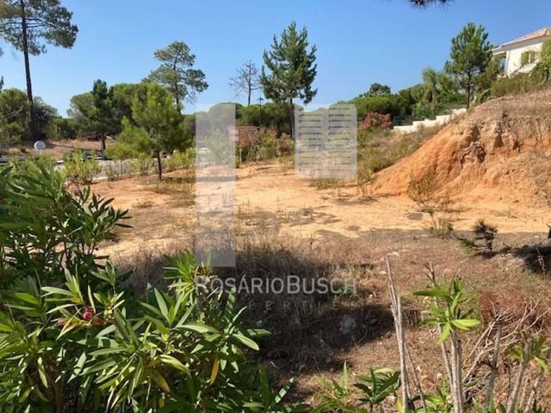 Land in Escanxinhas, Faro 10887859