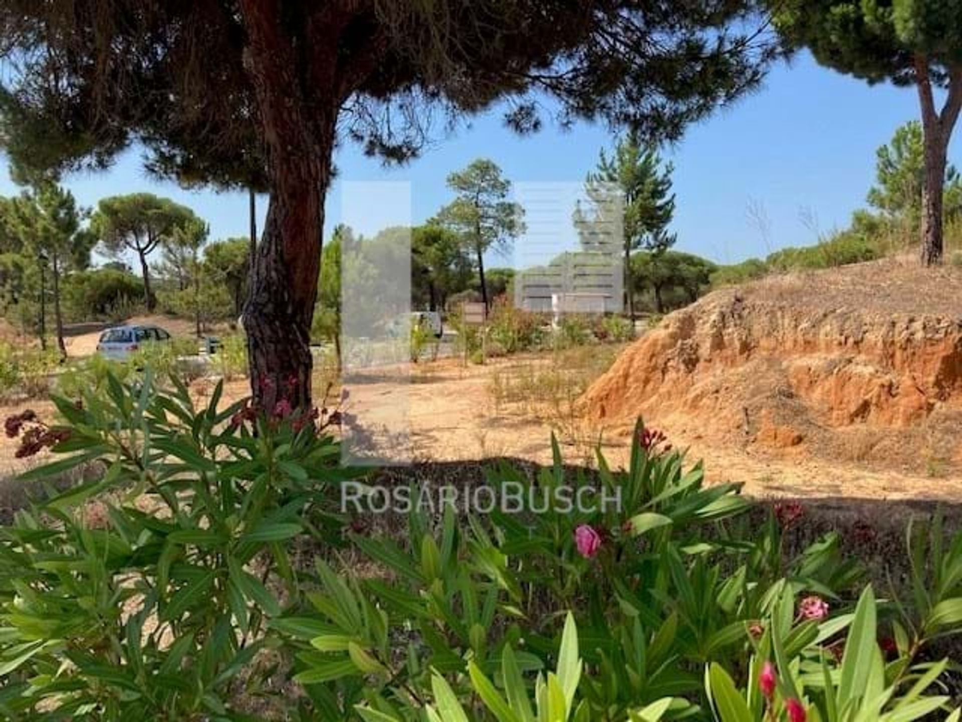 Land im Almancil, Faro 10887859