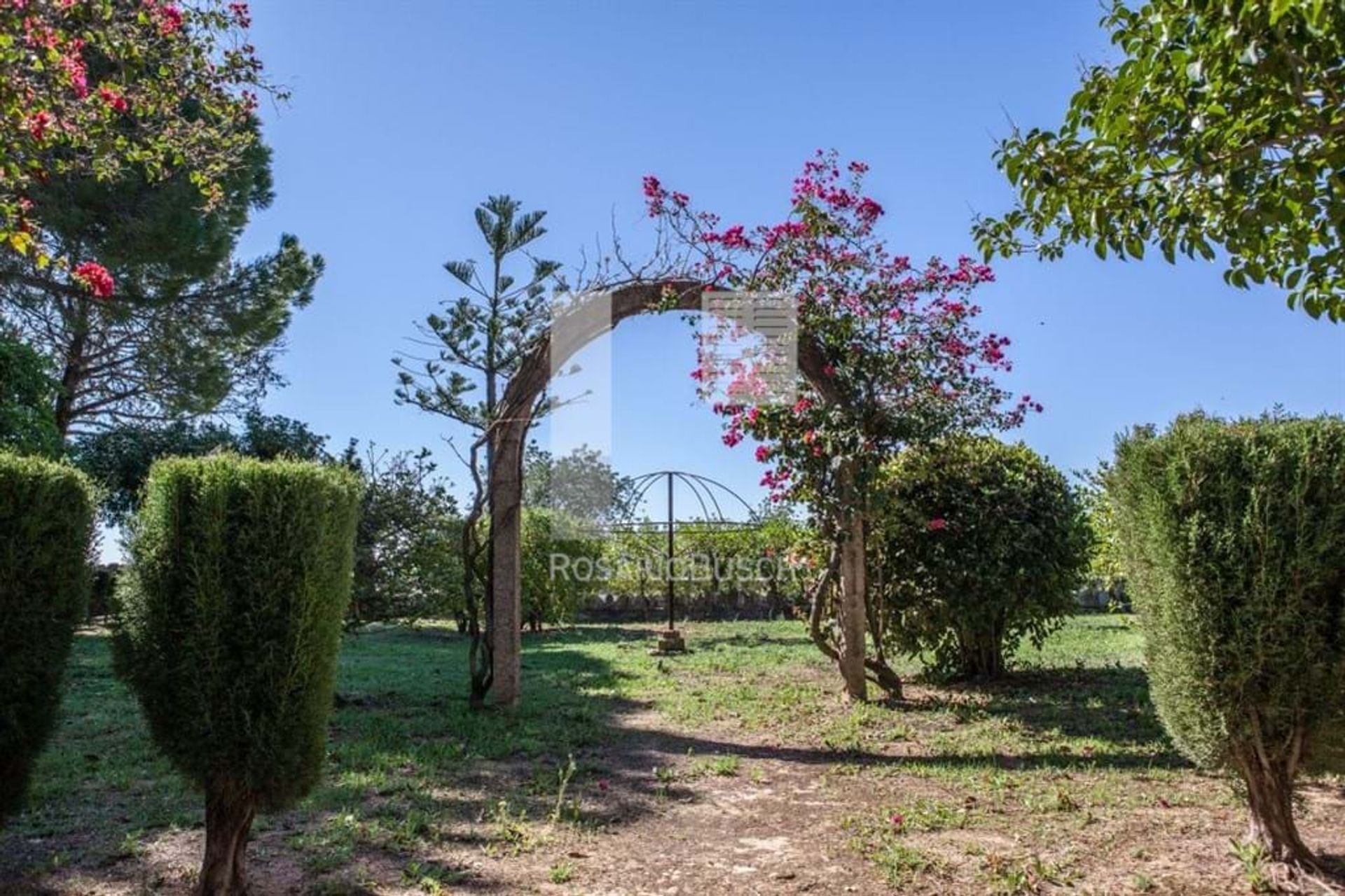 casa en Santa Bárbara de Nexe, Faro 10887873