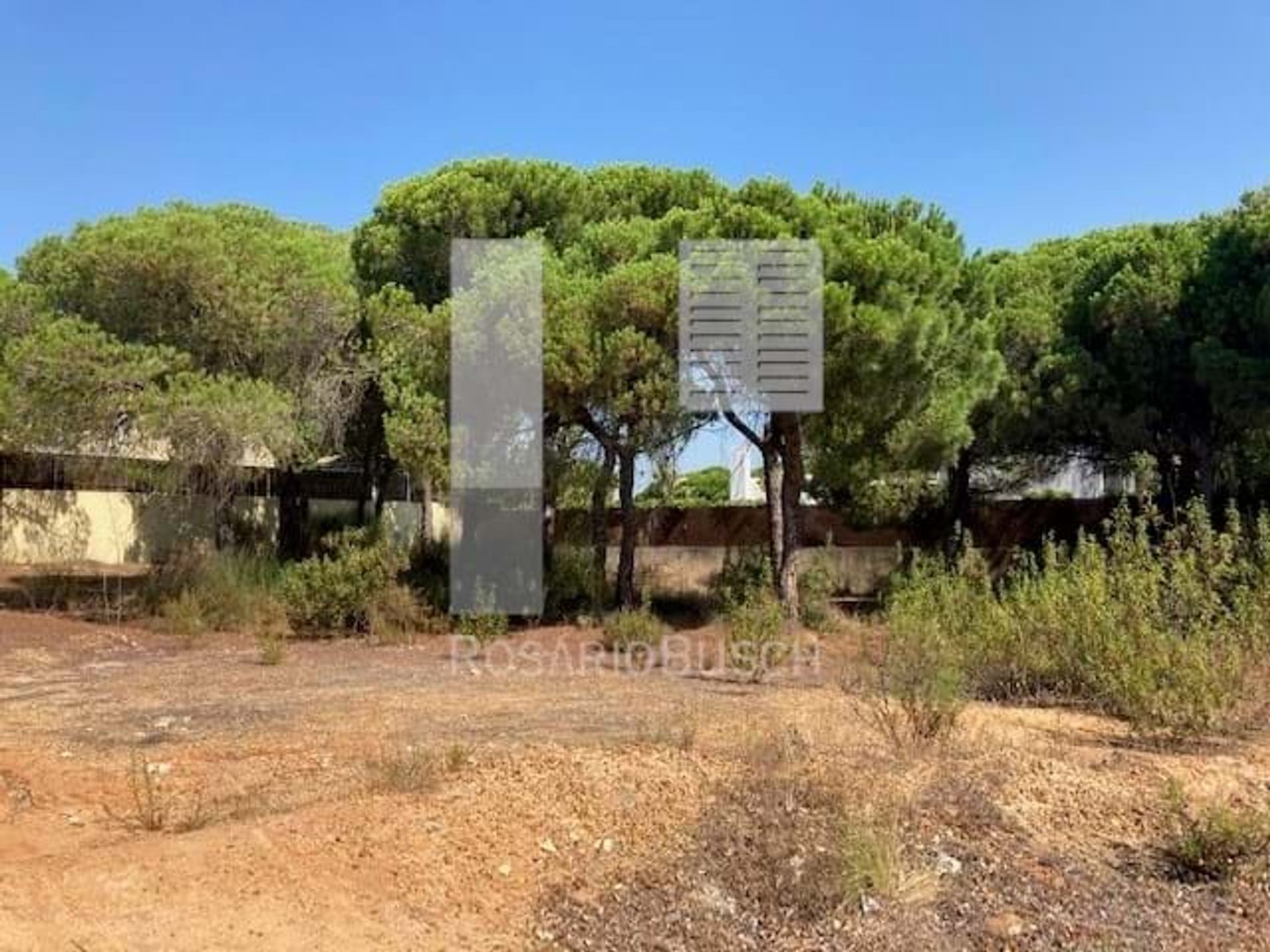 Terre dans Loulé, Faro District 10888937