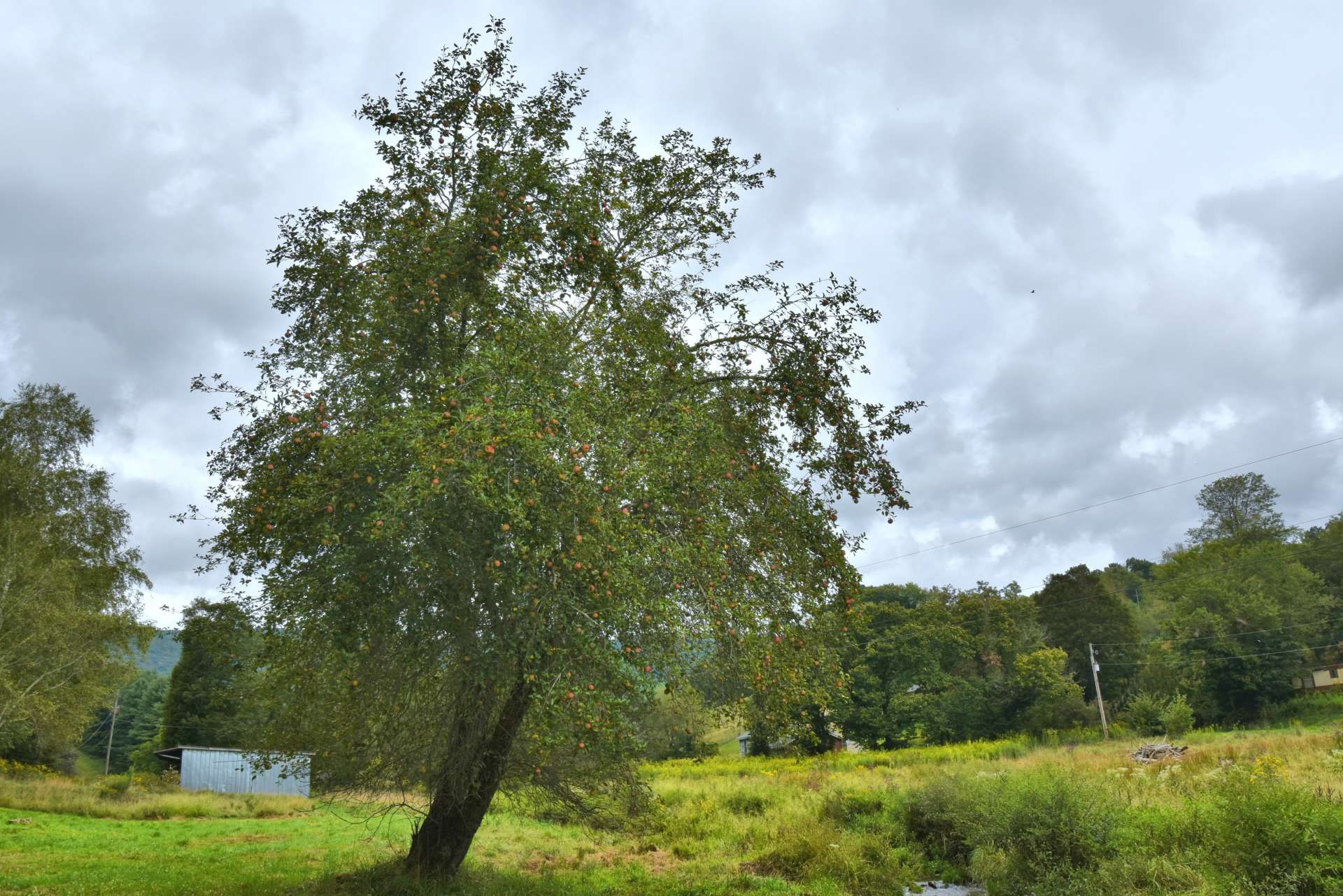 rumah dalam Geran, Virginia 10889599