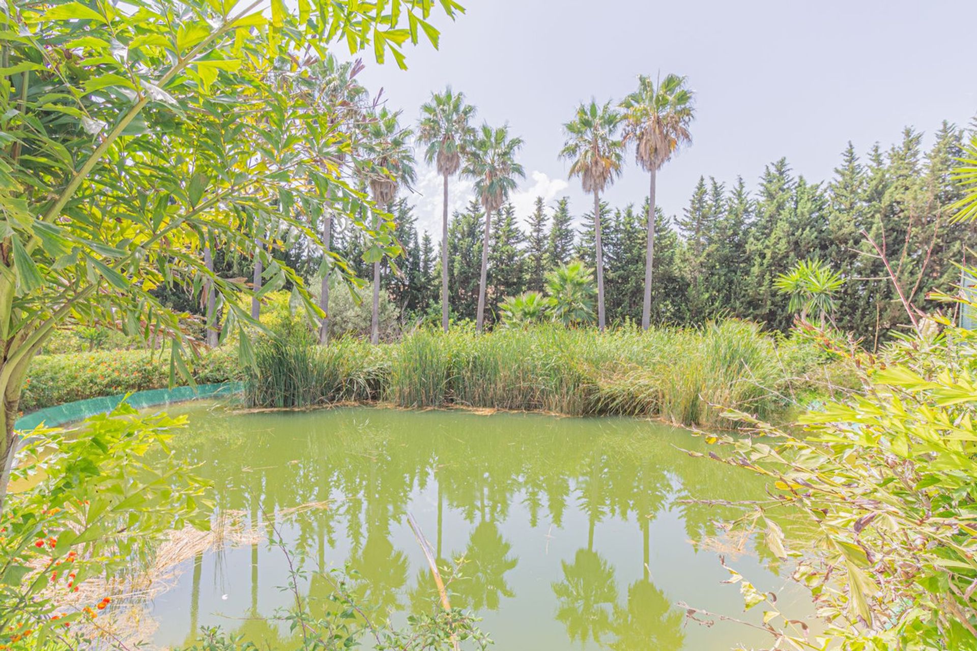 Casa nel Sotogrande, Andalusia 10889719