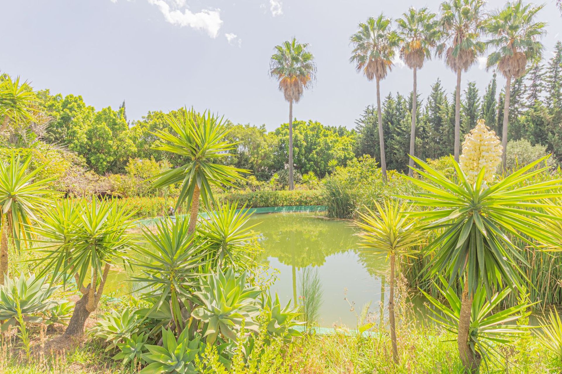 Casa nel Sotogrande, Andalusia 10889719