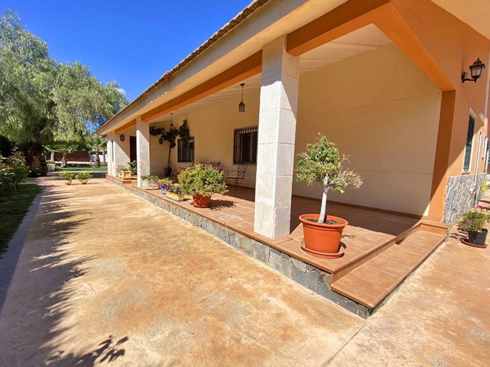 House in Novelda, Valencian Community 10889903