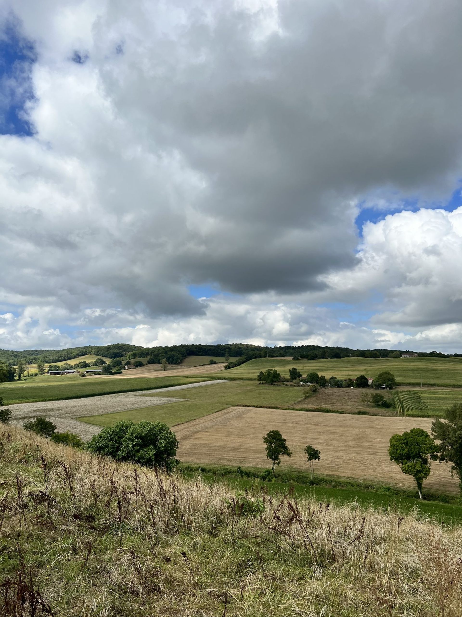 Talo sisään Miélan, Occitanie 10890012