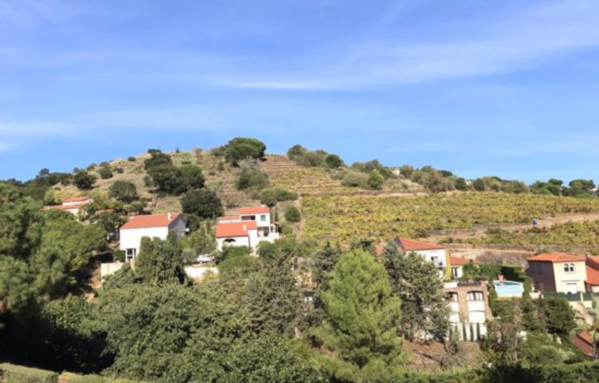 Casa nel Collioure, Occitanie 10890207