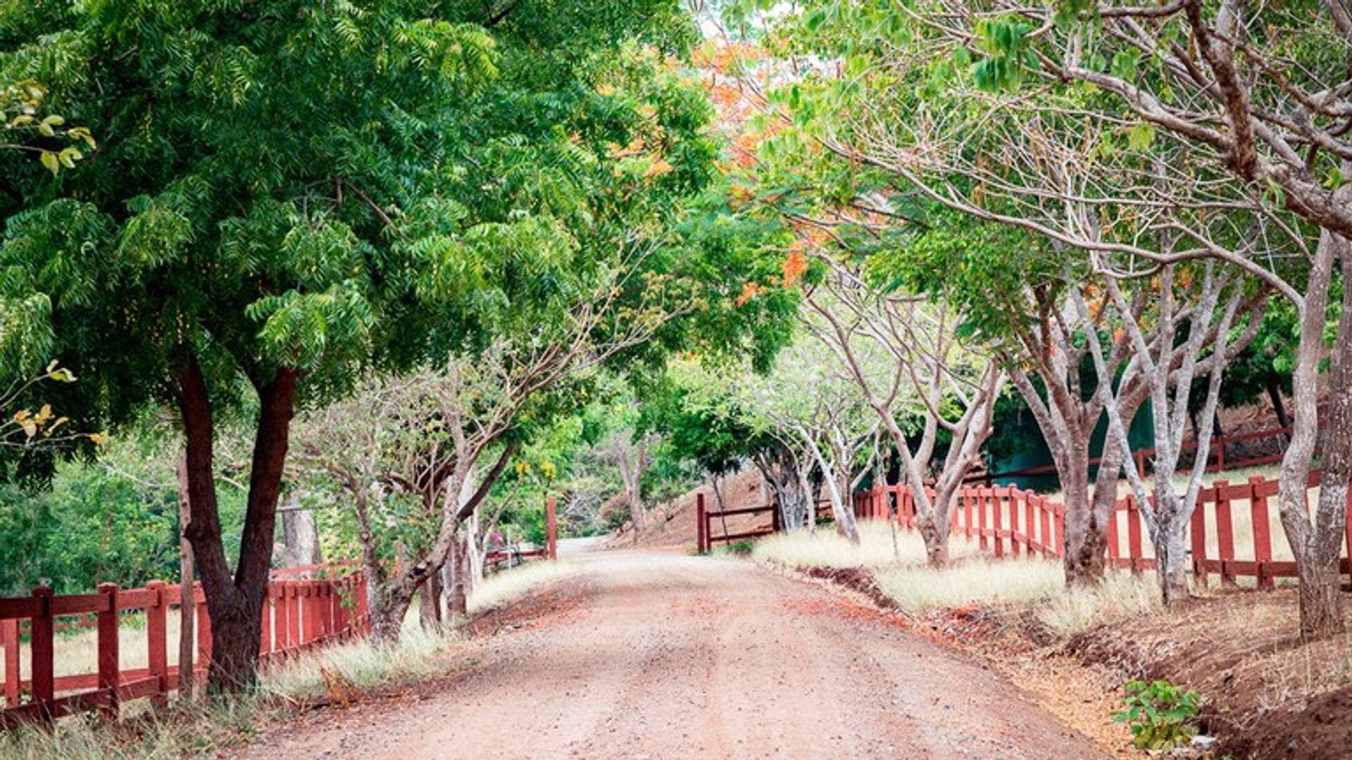 Condomínio no comunidade, Guanacaste 10890294