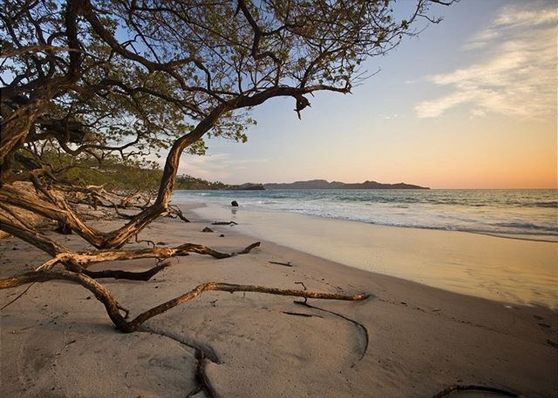 Osakehuoneisto sisään Playa Flamingo, Provincia de Guanacaste 10890296