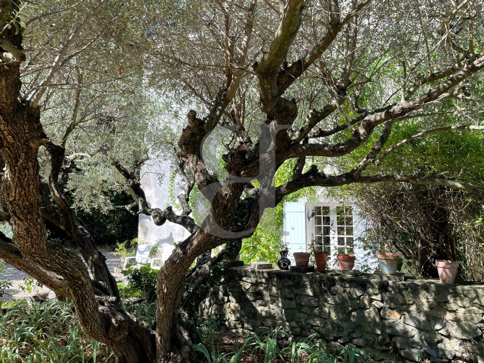 다른 에 Villedieu, Provence-Alpes-Côte d'Azur 10890335