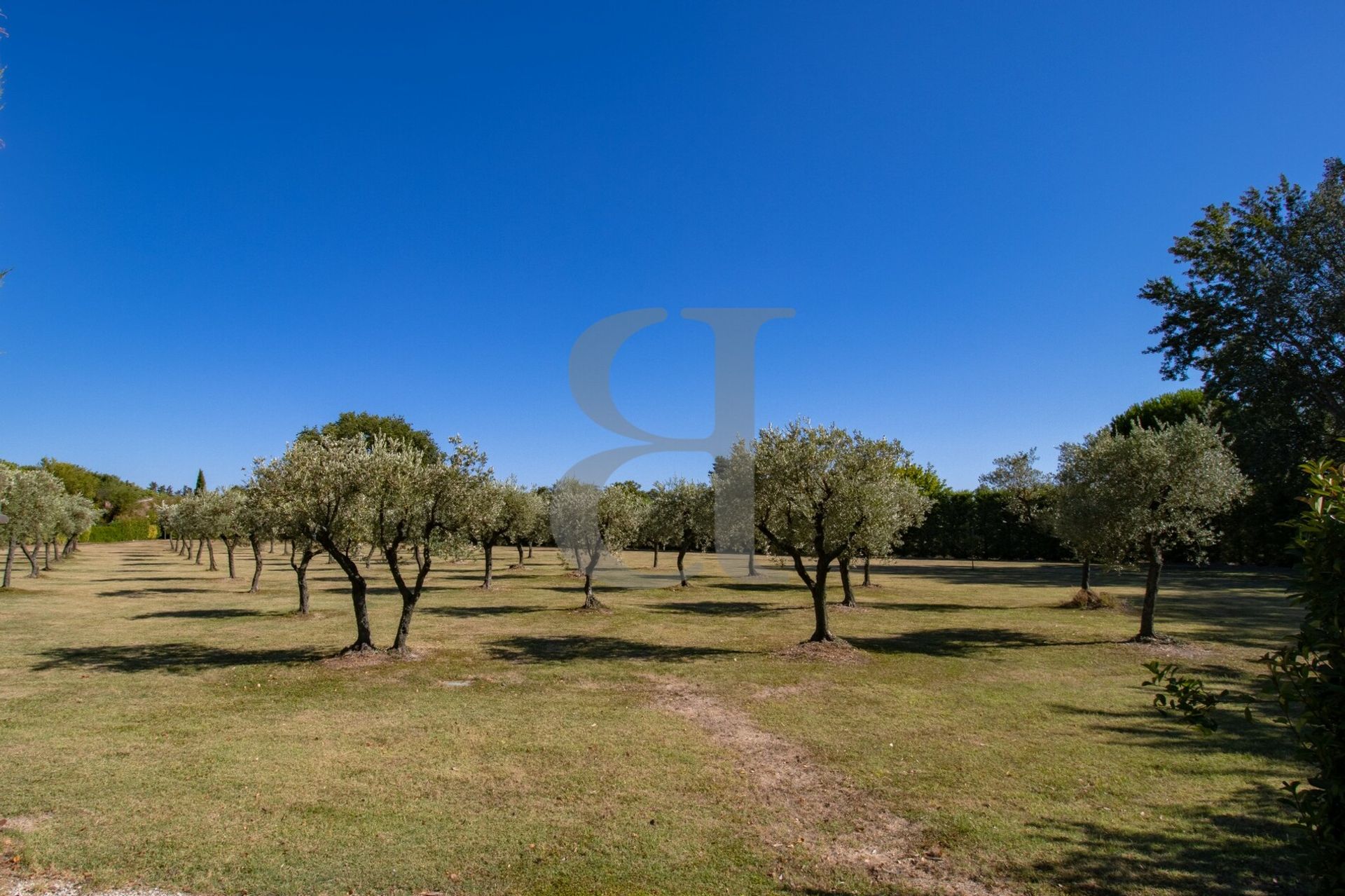 Altro nel L'Isle-sur-la-Sorgue, Provence-Alpes-Cote d'Azur 10890413