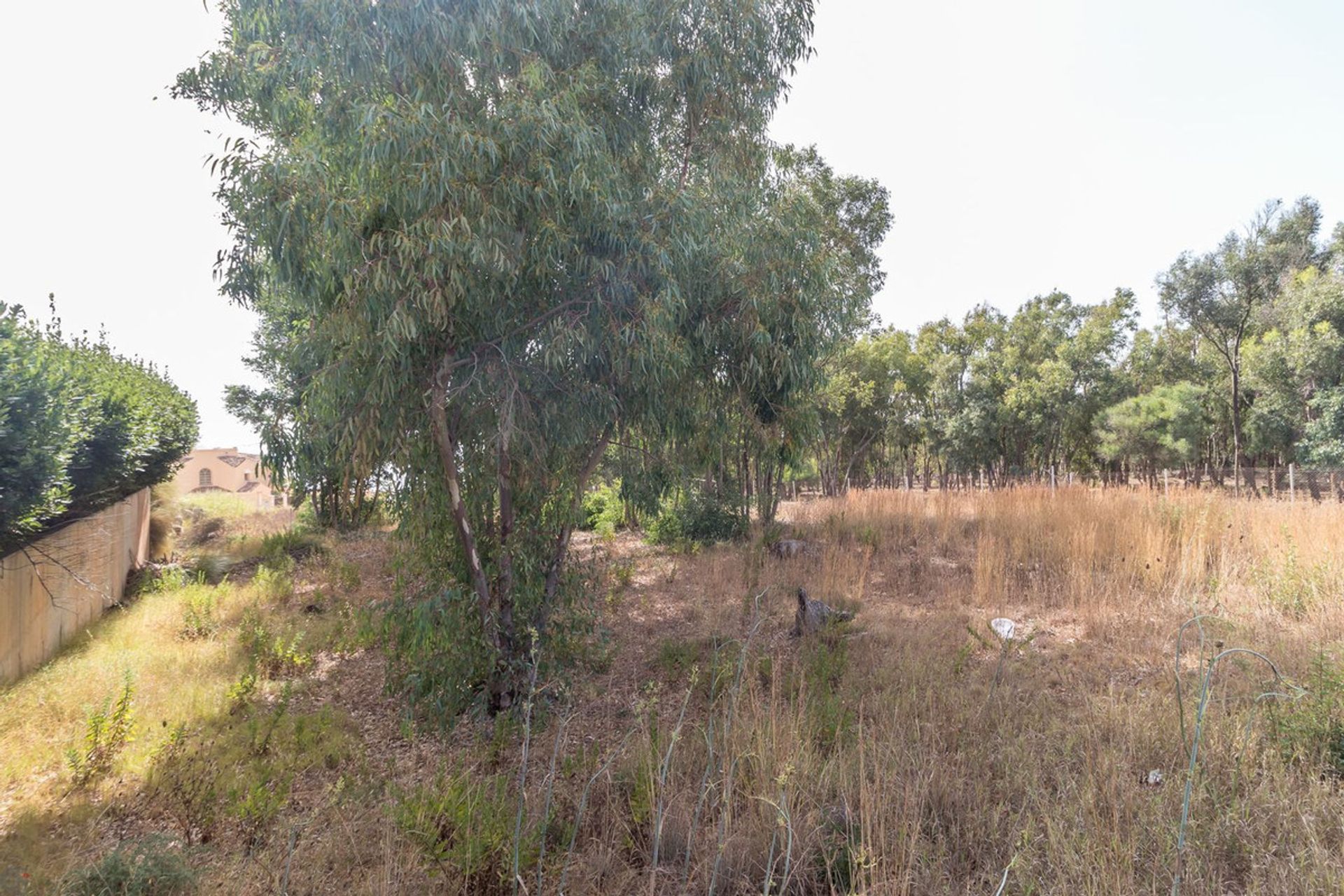 Tierra en Manilva, Andalucía 10890992