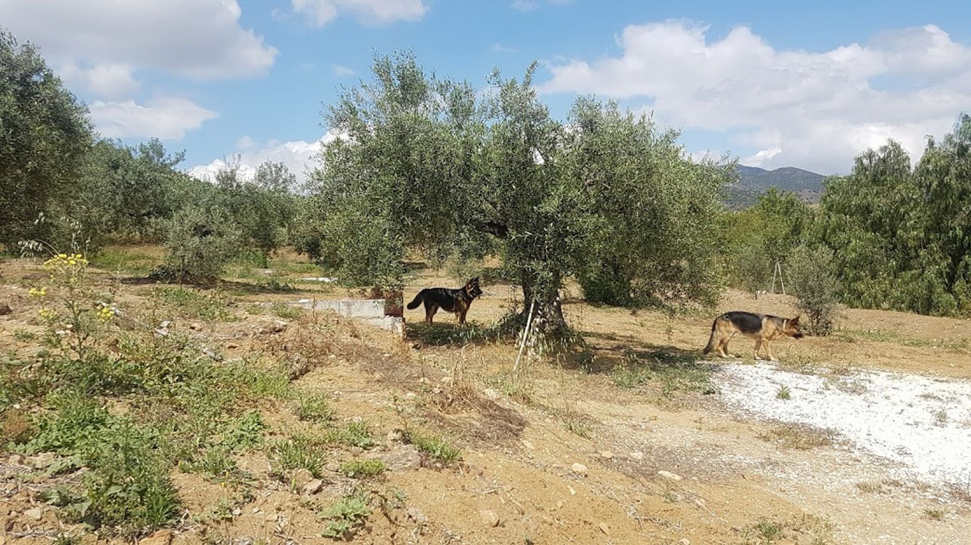 σπίτι σε Álora, Andalucía 10891103