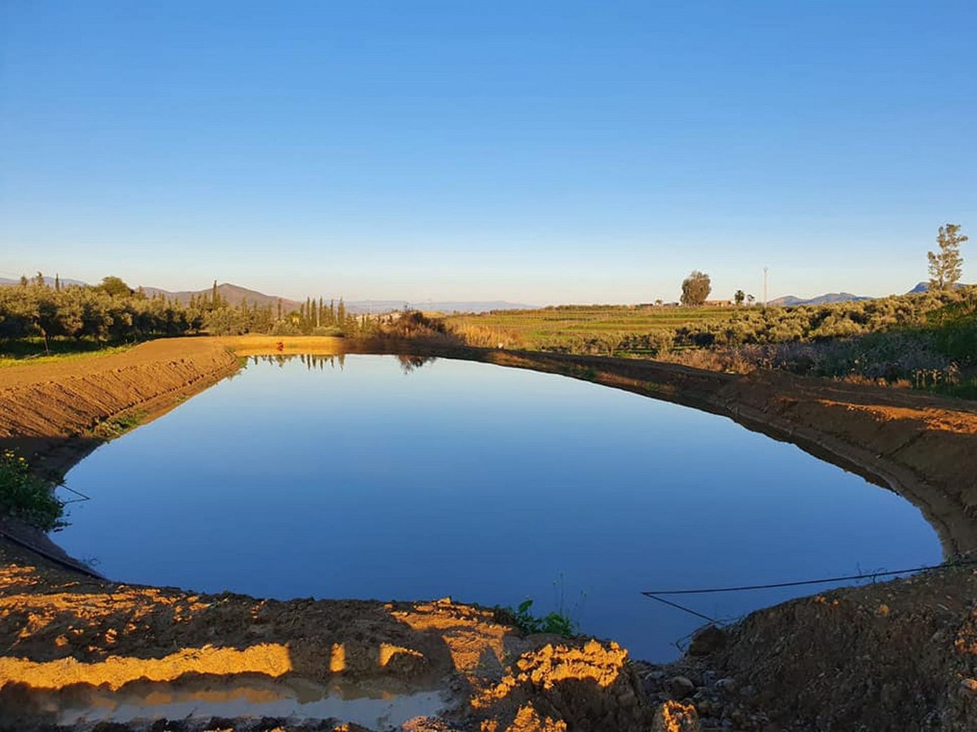 Hus i Cártama, Andalucía 10891122