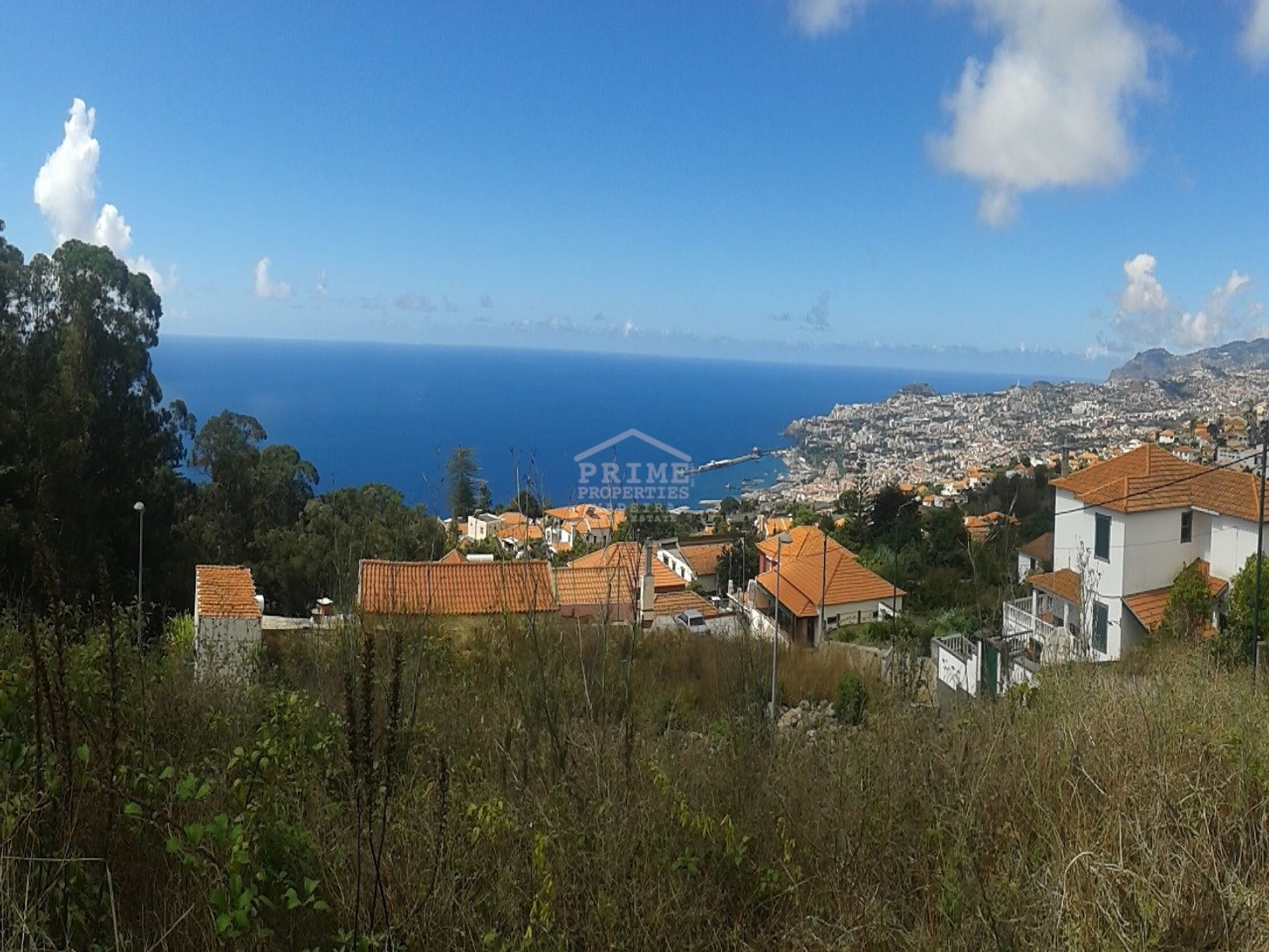 土地 在 Funchal, Madeira 10891339