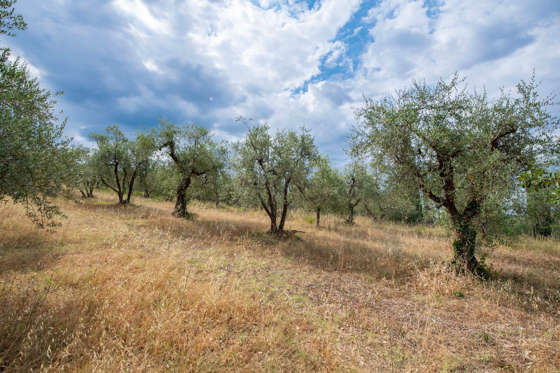 Будинок в Montespertoli, Tuscany 10891363