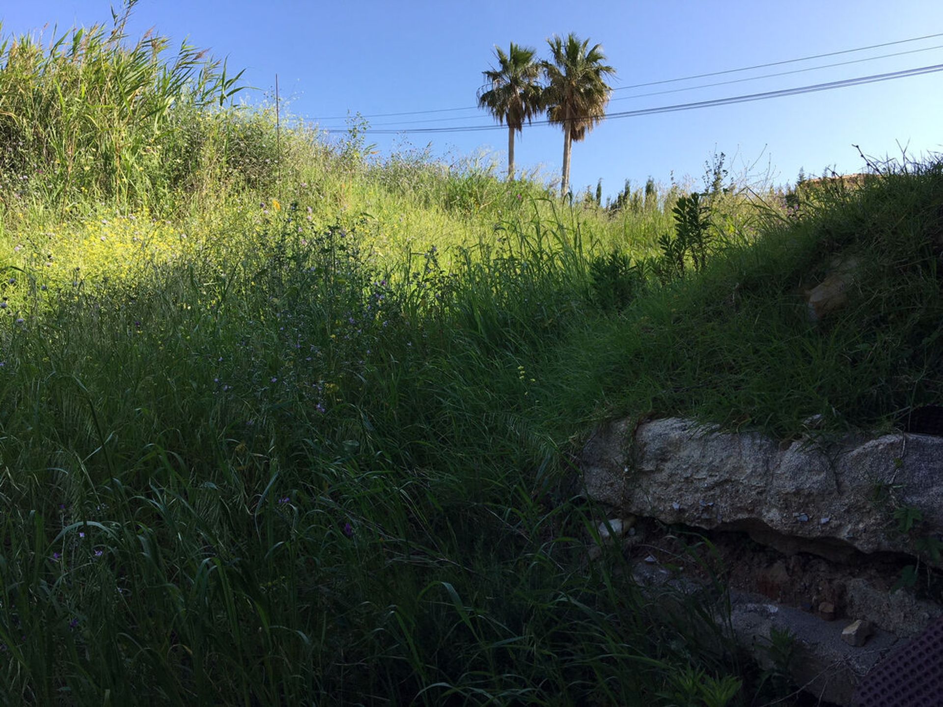 Tanah di Guadiaro, Andalusia 10891655