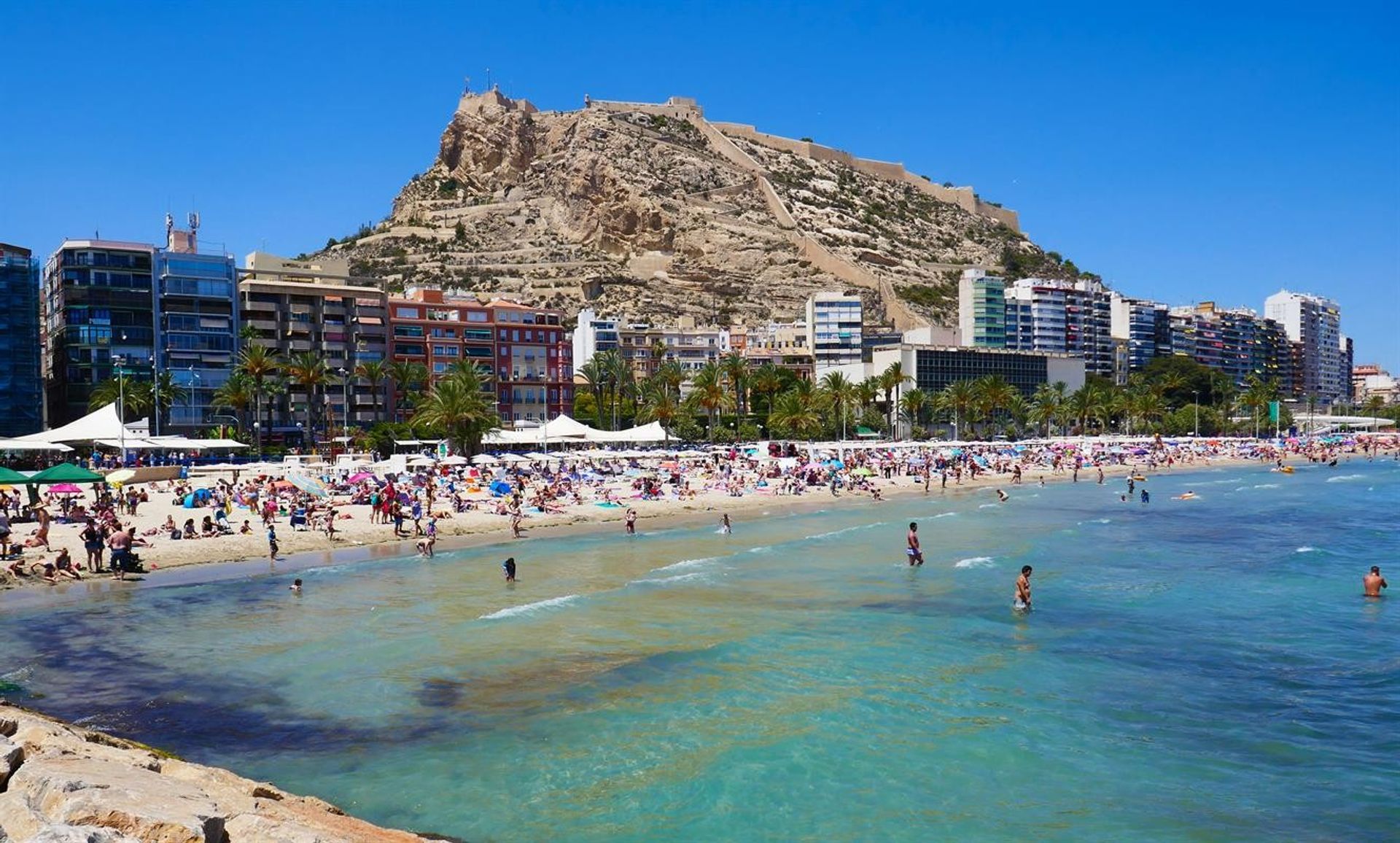 सम्मिलित में Alicante (Alacant), Comunidad Valenciana 10895422