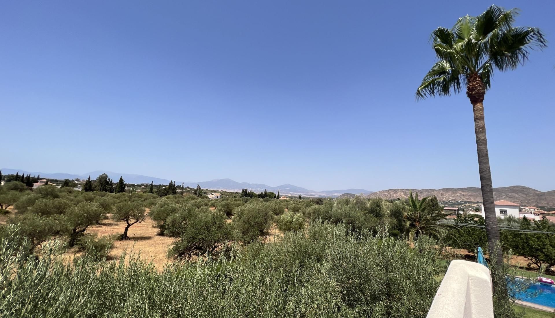 Hus i Alhaurín de la Torre, Andalucía 10896185