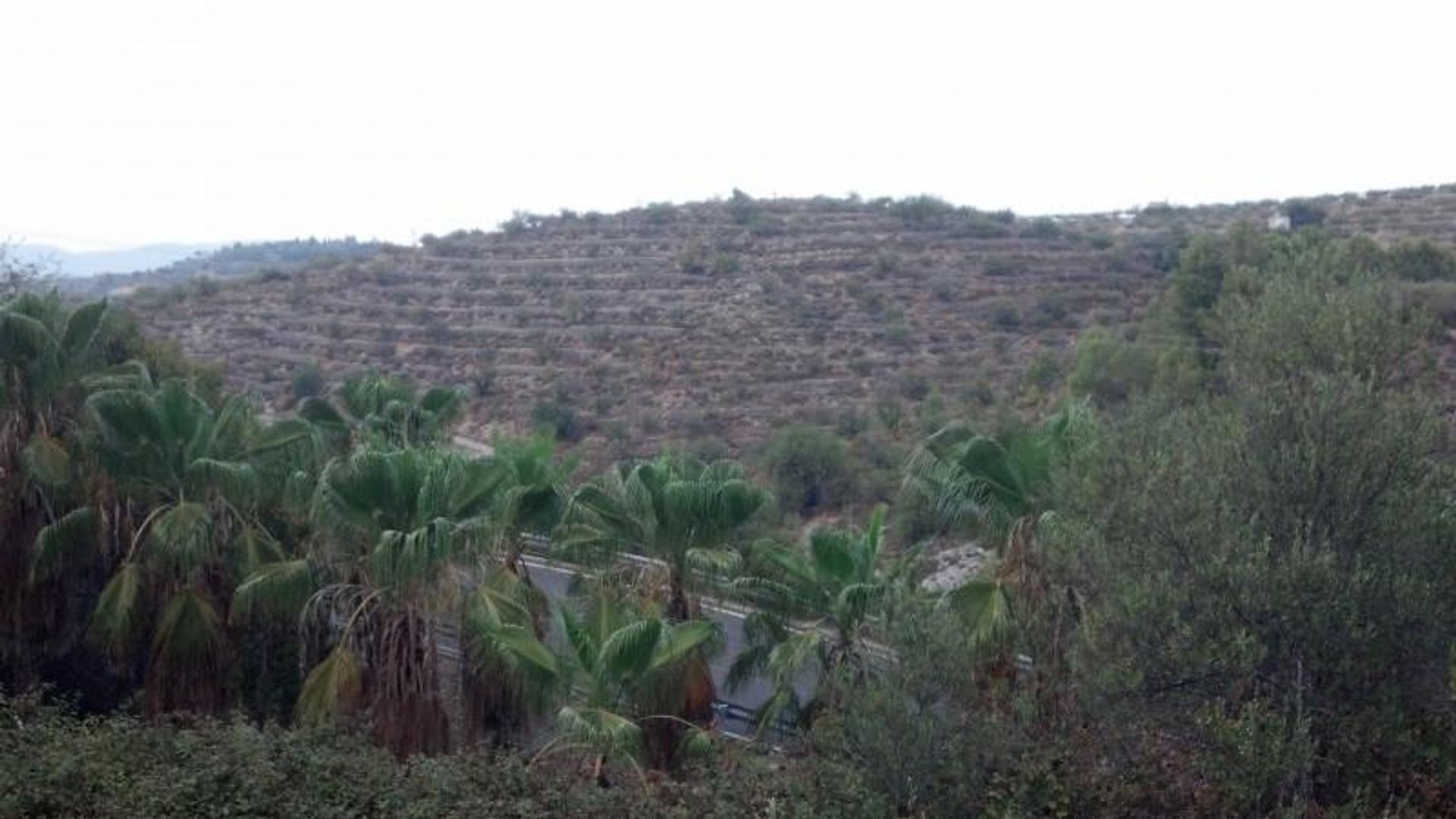 Maa sisään Ciudad Jardin, Valencia 10896646