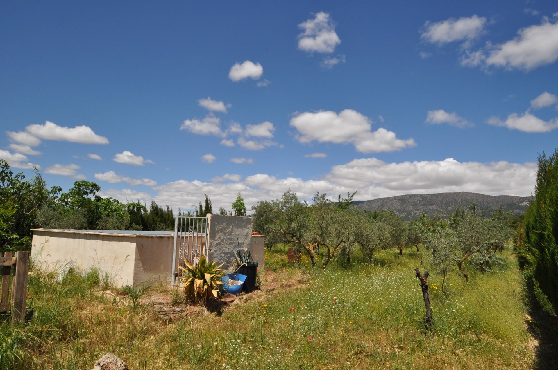 casa en Pinoso, Comunidad Valenciana 10896657