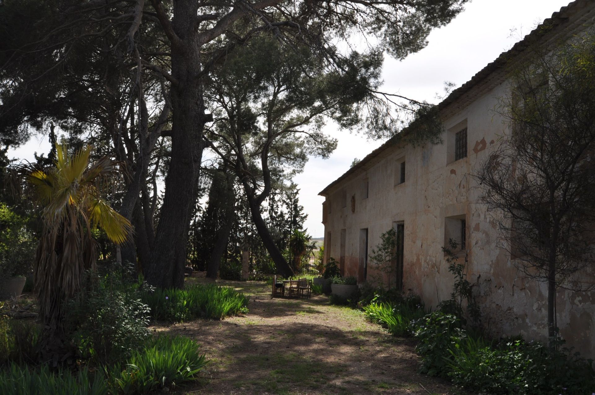 rumah dalam Yecla, Región de Murcia 10896658