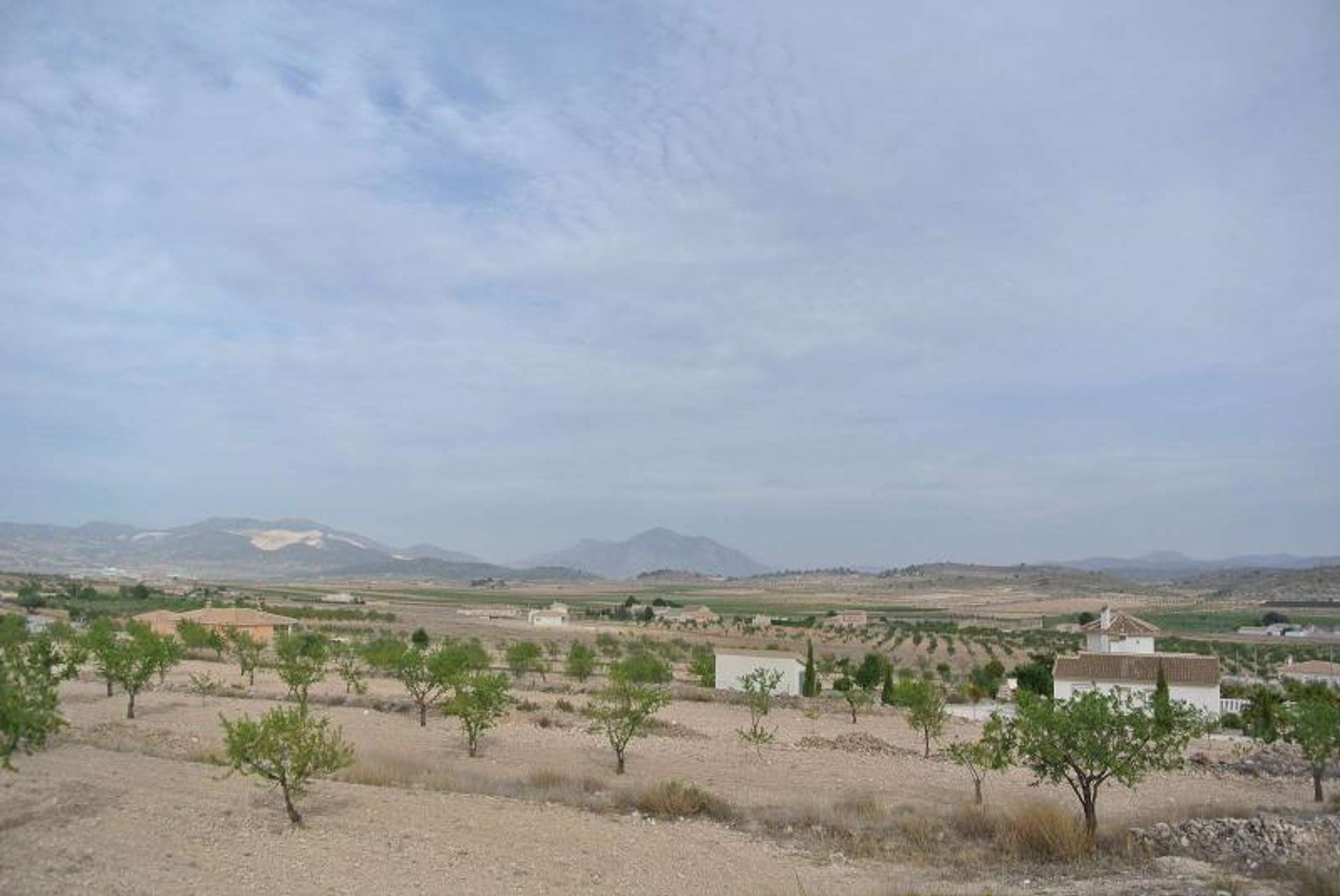 Земля в Jumilla, Región de Murcia 10896842