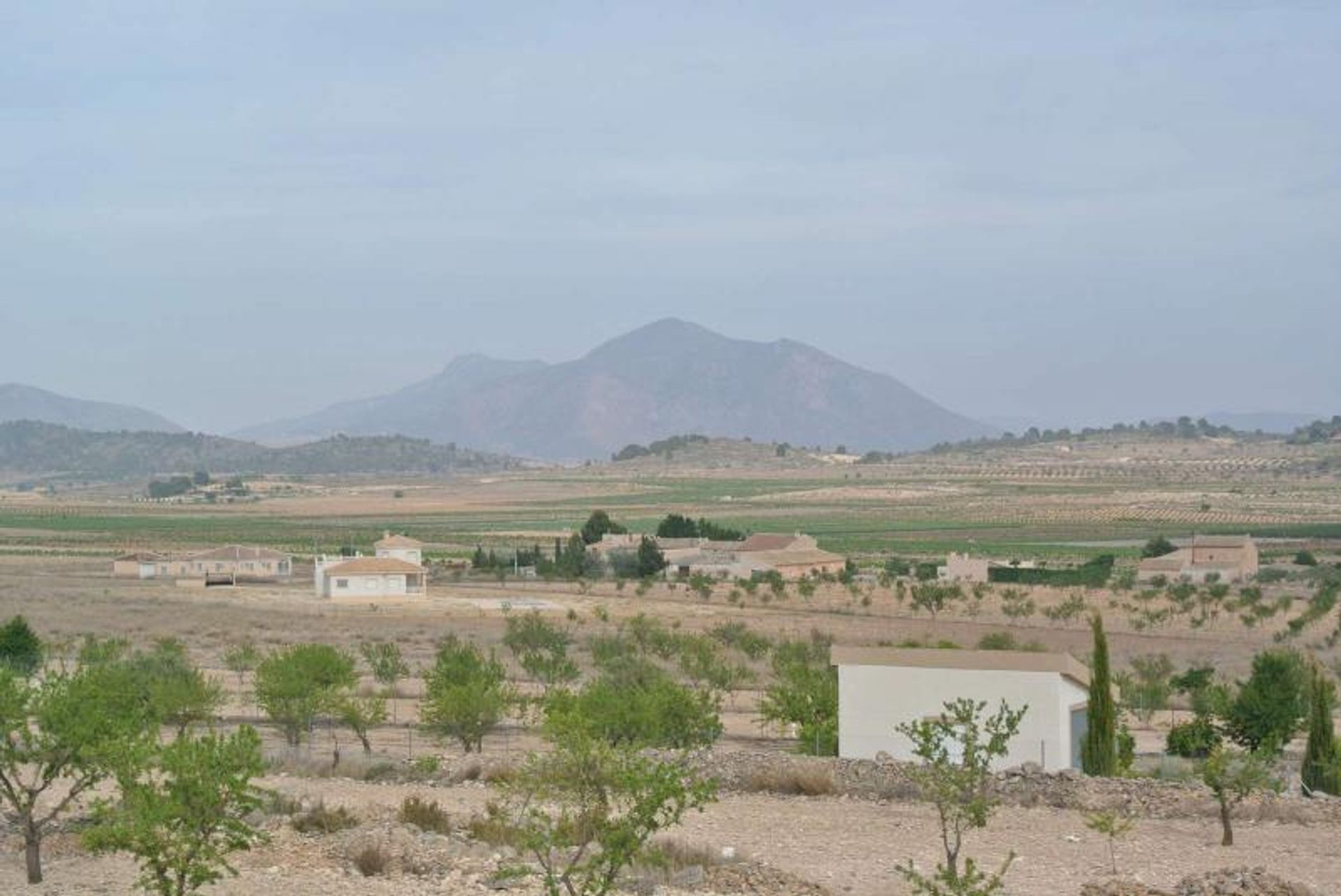 Земля в Jumilla, Región de Murcia 10896842