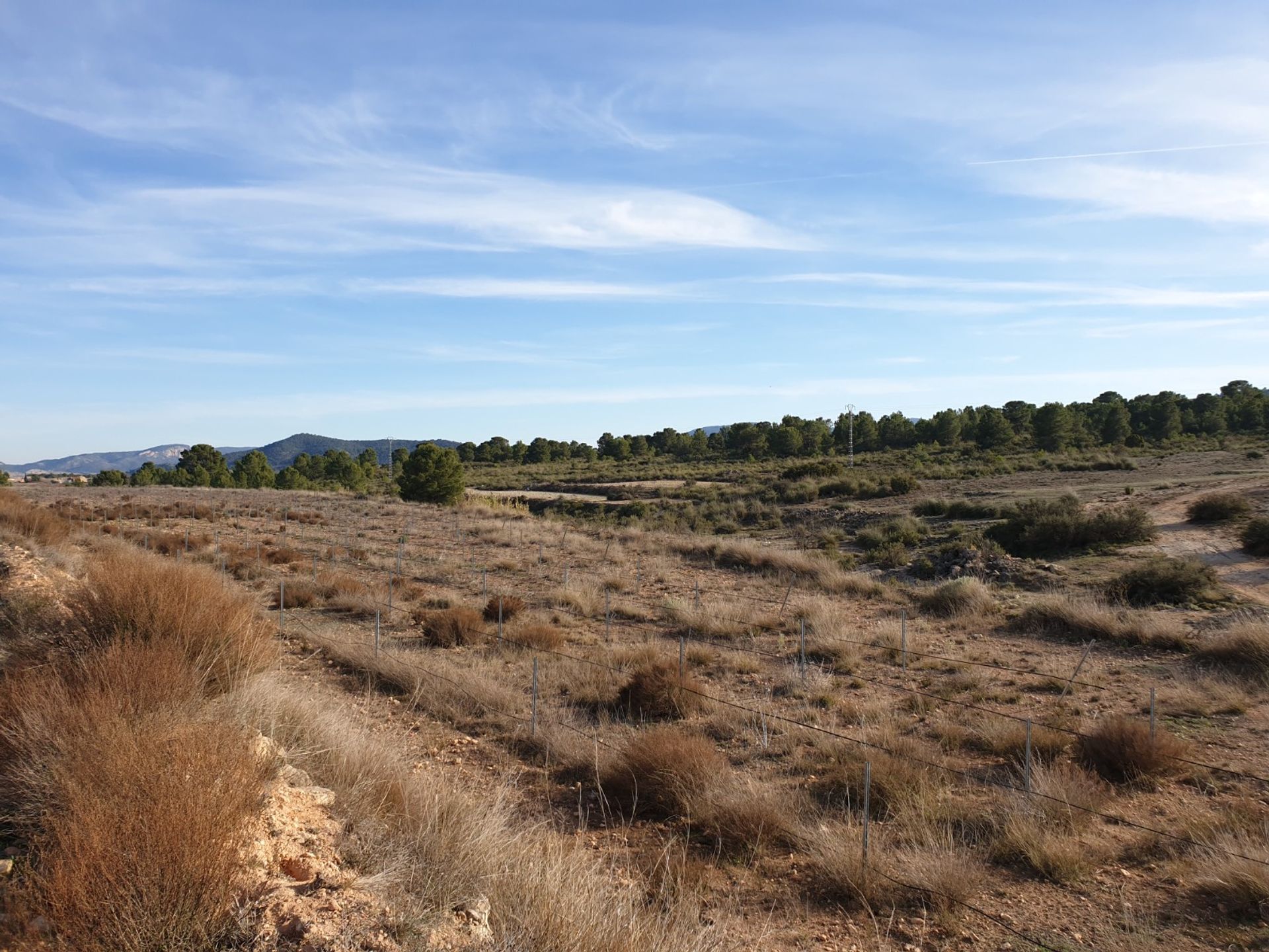 Tierra en Pinoso, Comunidad Valenciana 10896850