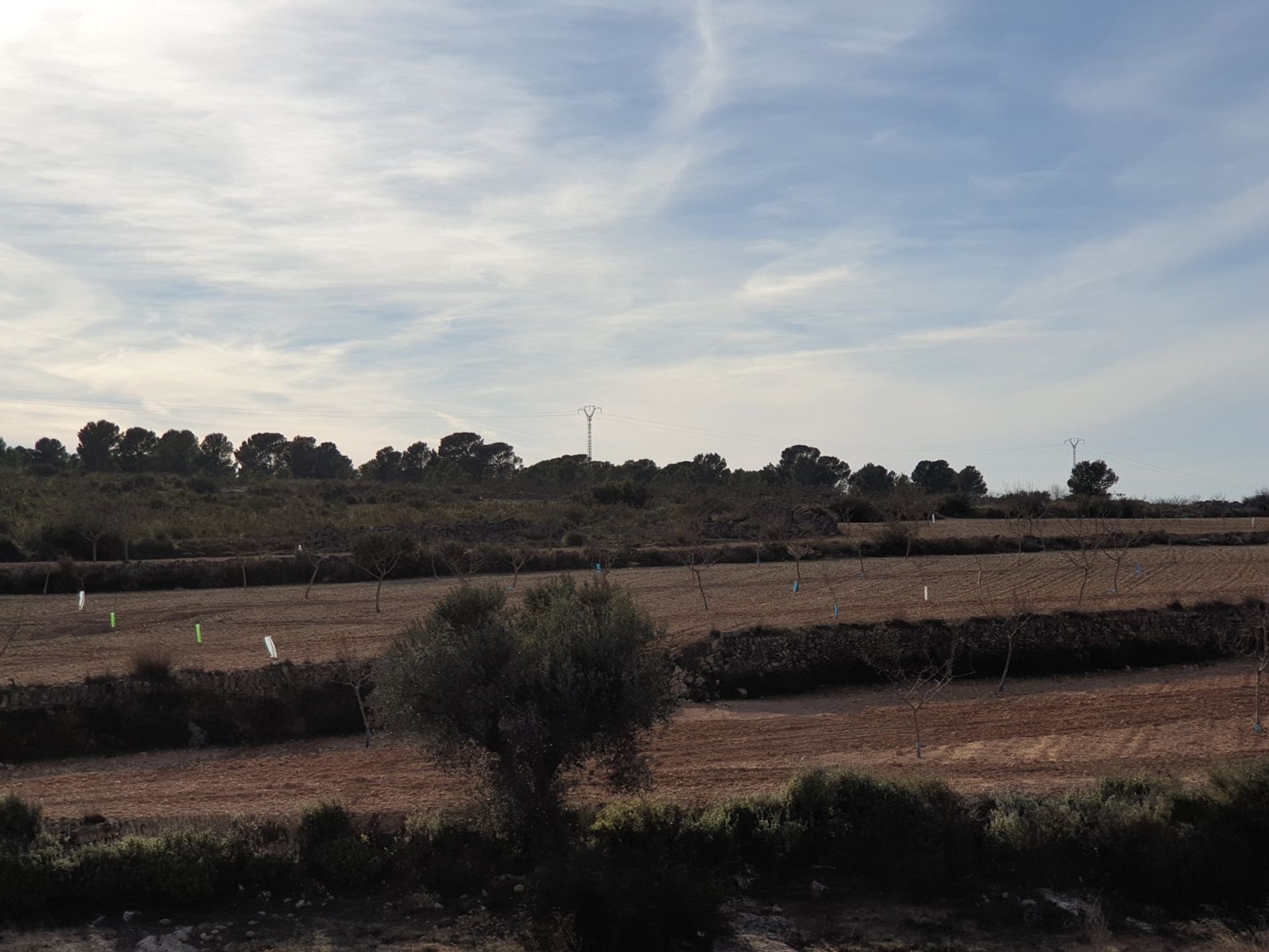 Land i Pinoso, Comunidad Valenciana 10896850