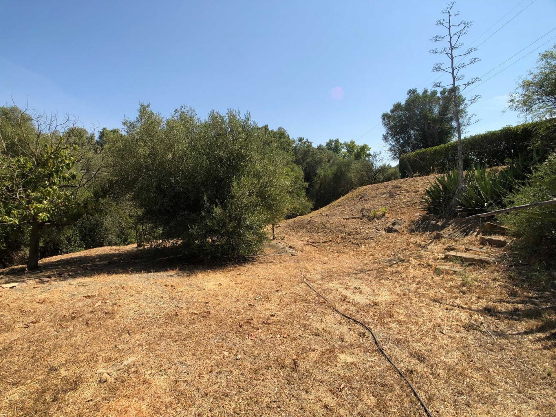 House in San Enrique de Guadiaro, Andalucía 10897064