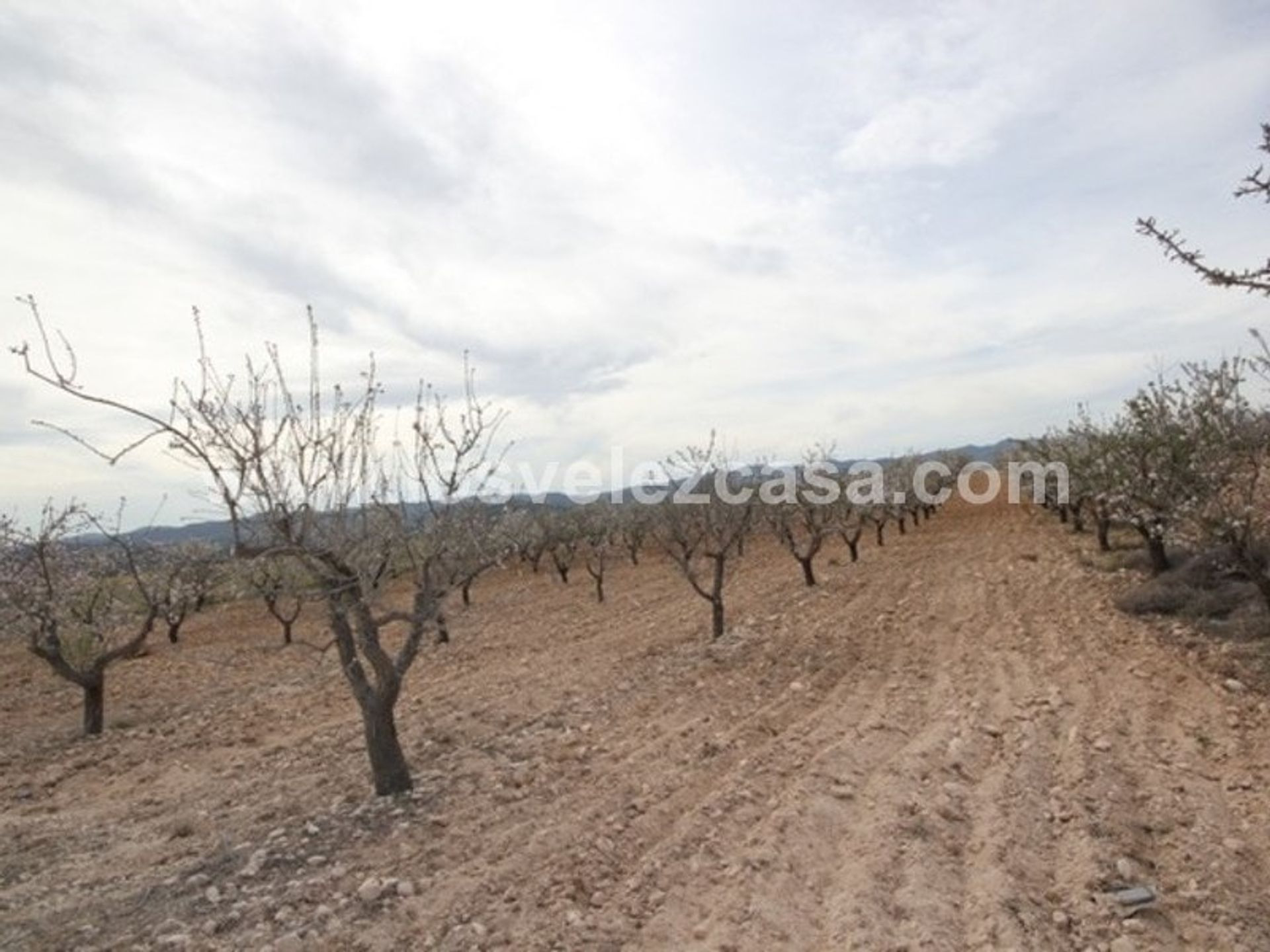 土地 在 La Parroquia, Región de Murcia 10897074