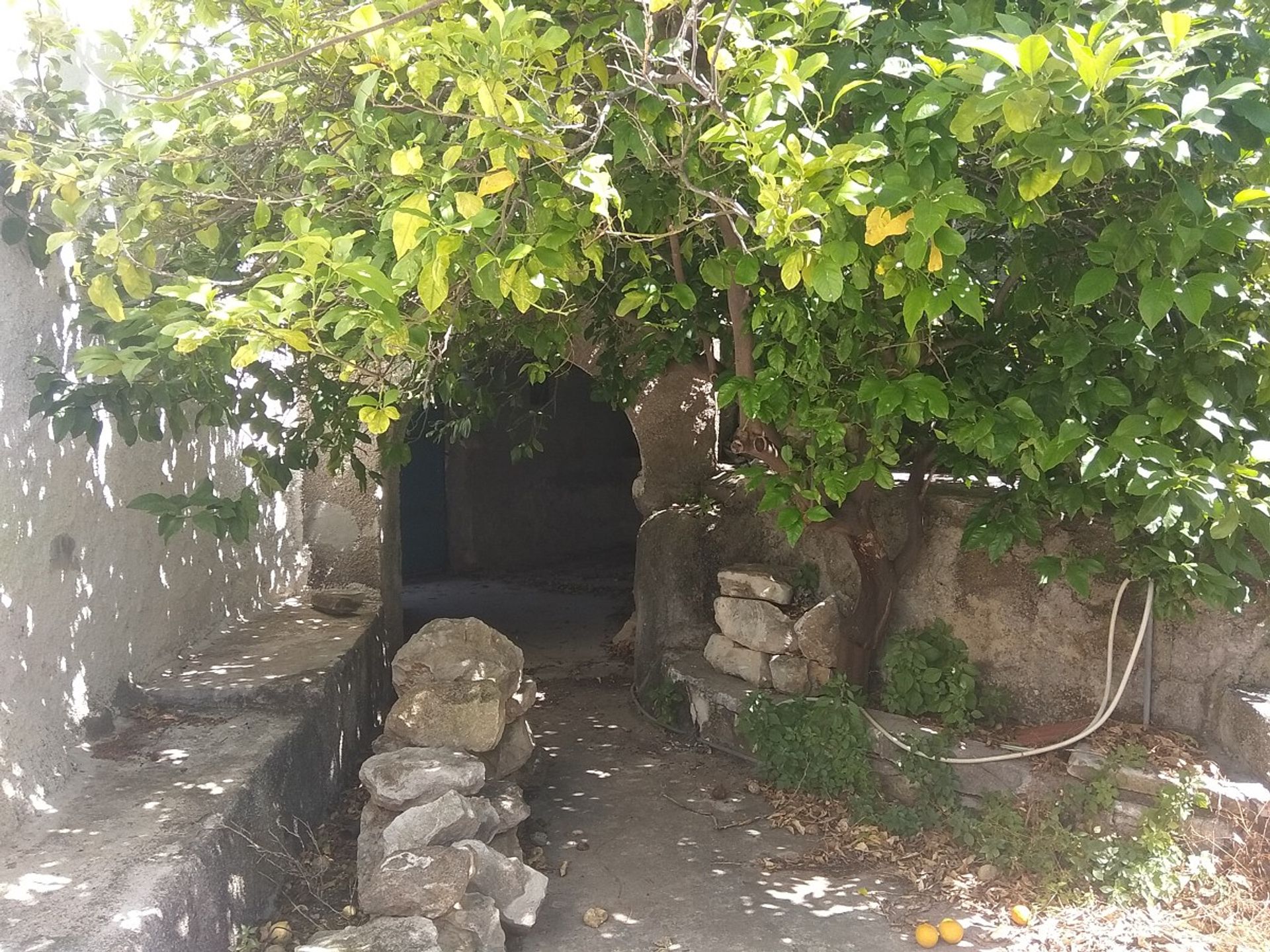 casa no Chania, Criti 10897447