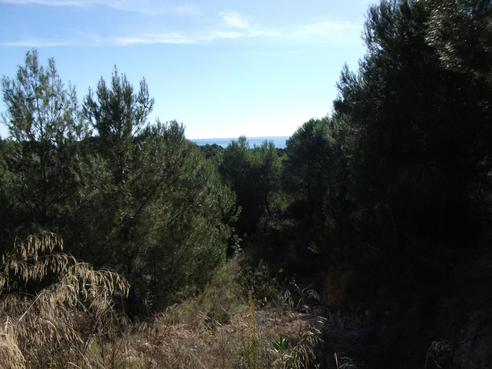 Tierra en Altea la Vieja, Valencia 10898009