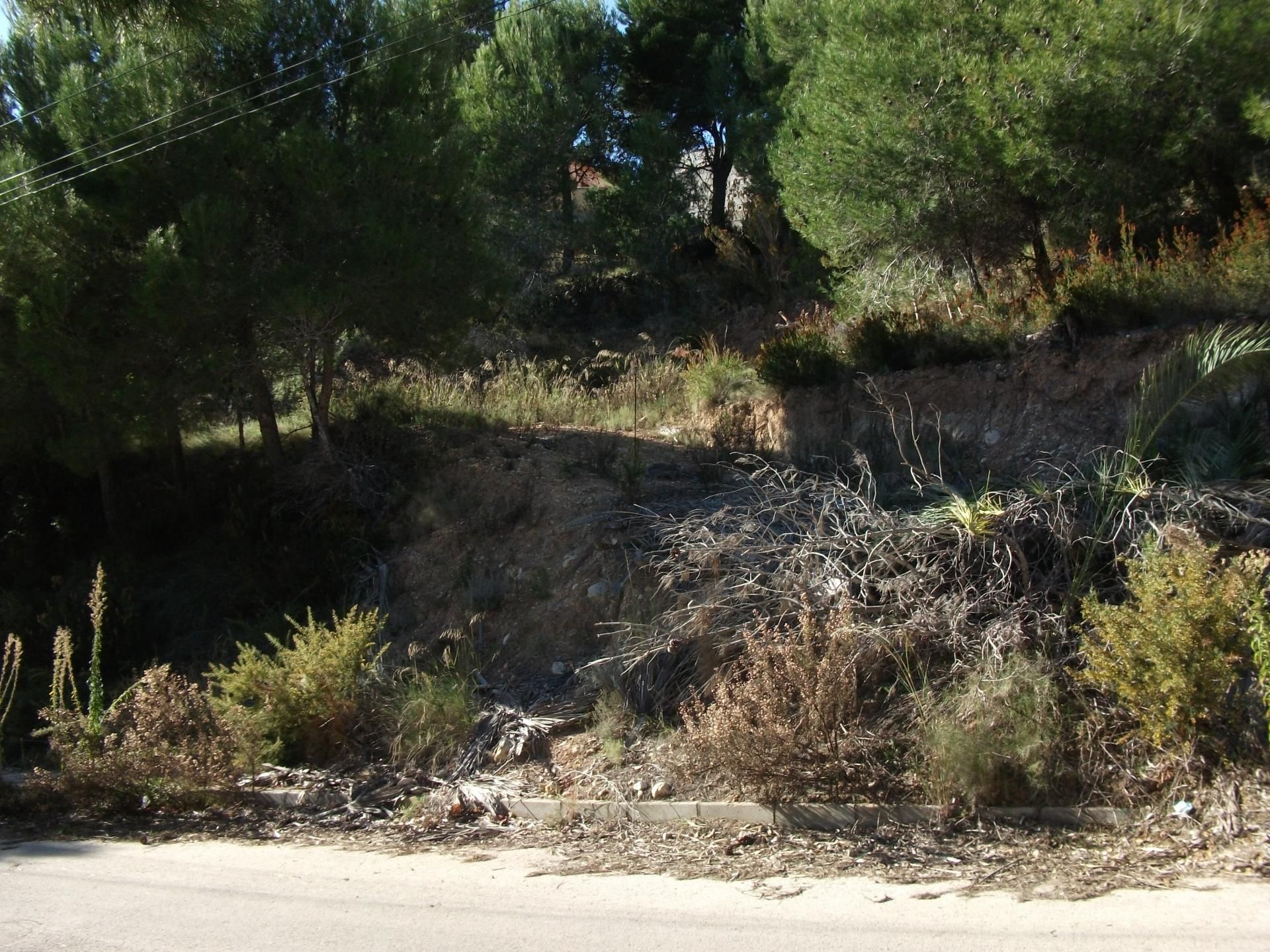 Terre dans Altea la Vieja, Valence 10898009