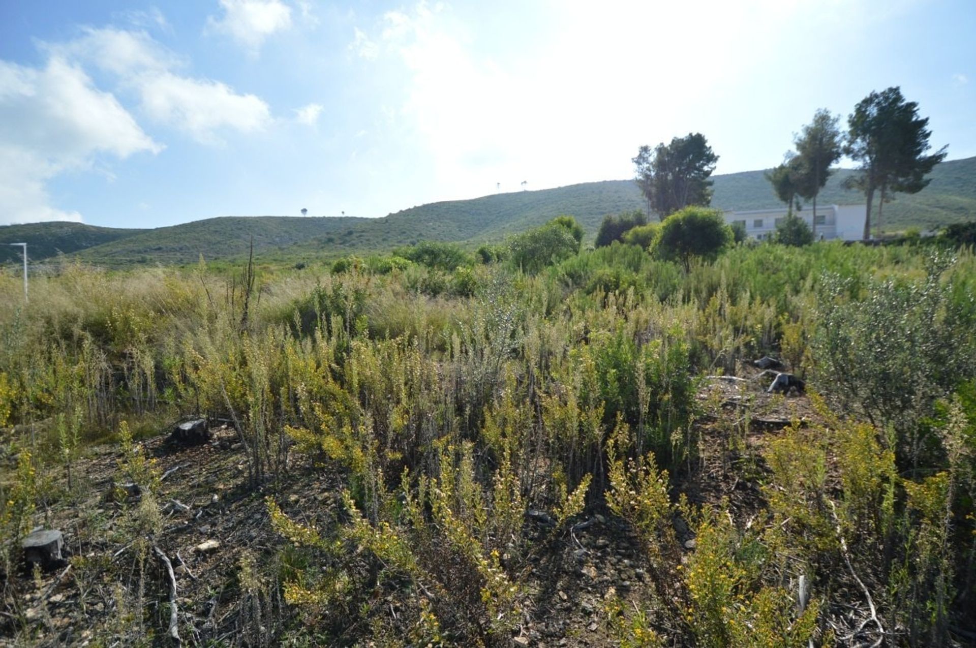 Tierra en Jávea, Comunidad Valenciana 10898012