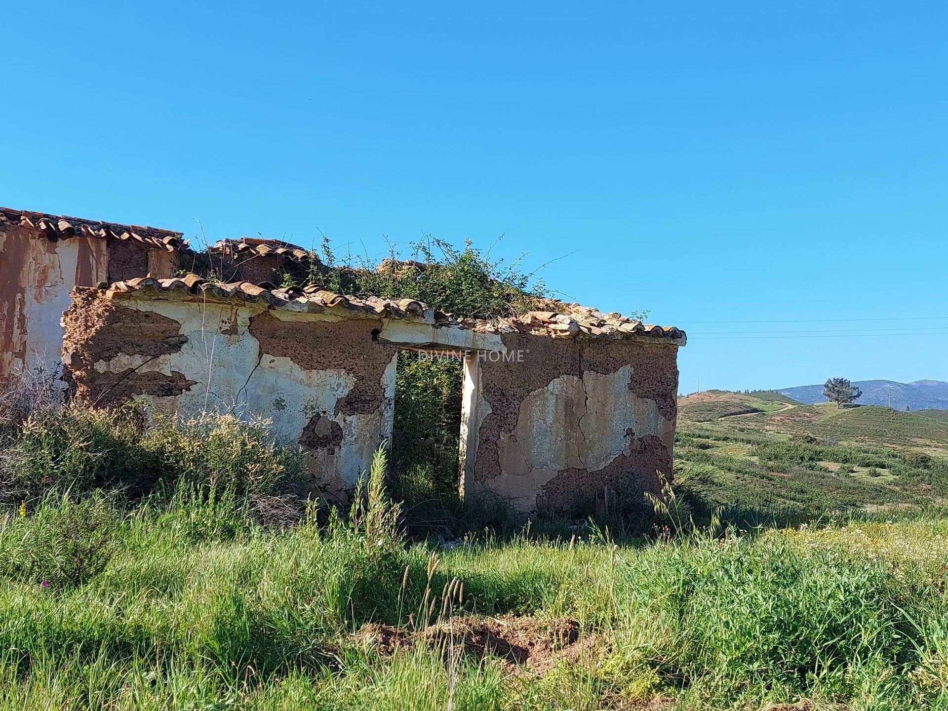 Land i Portimão, Faro District 10898081