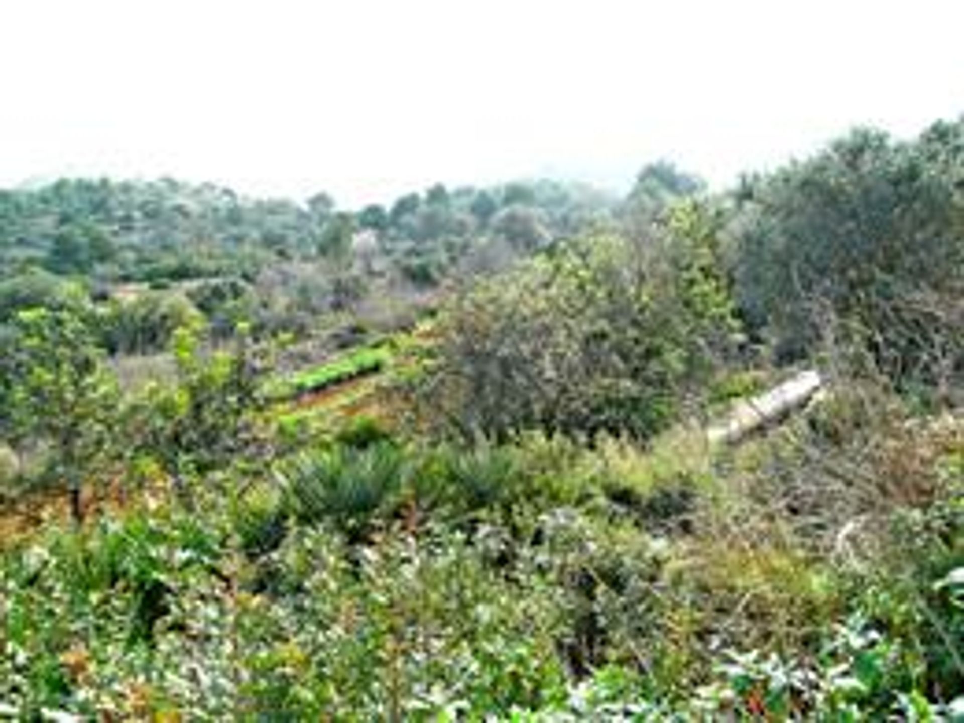 Tierra en Dénia, Comunidad Valenciana 10898193