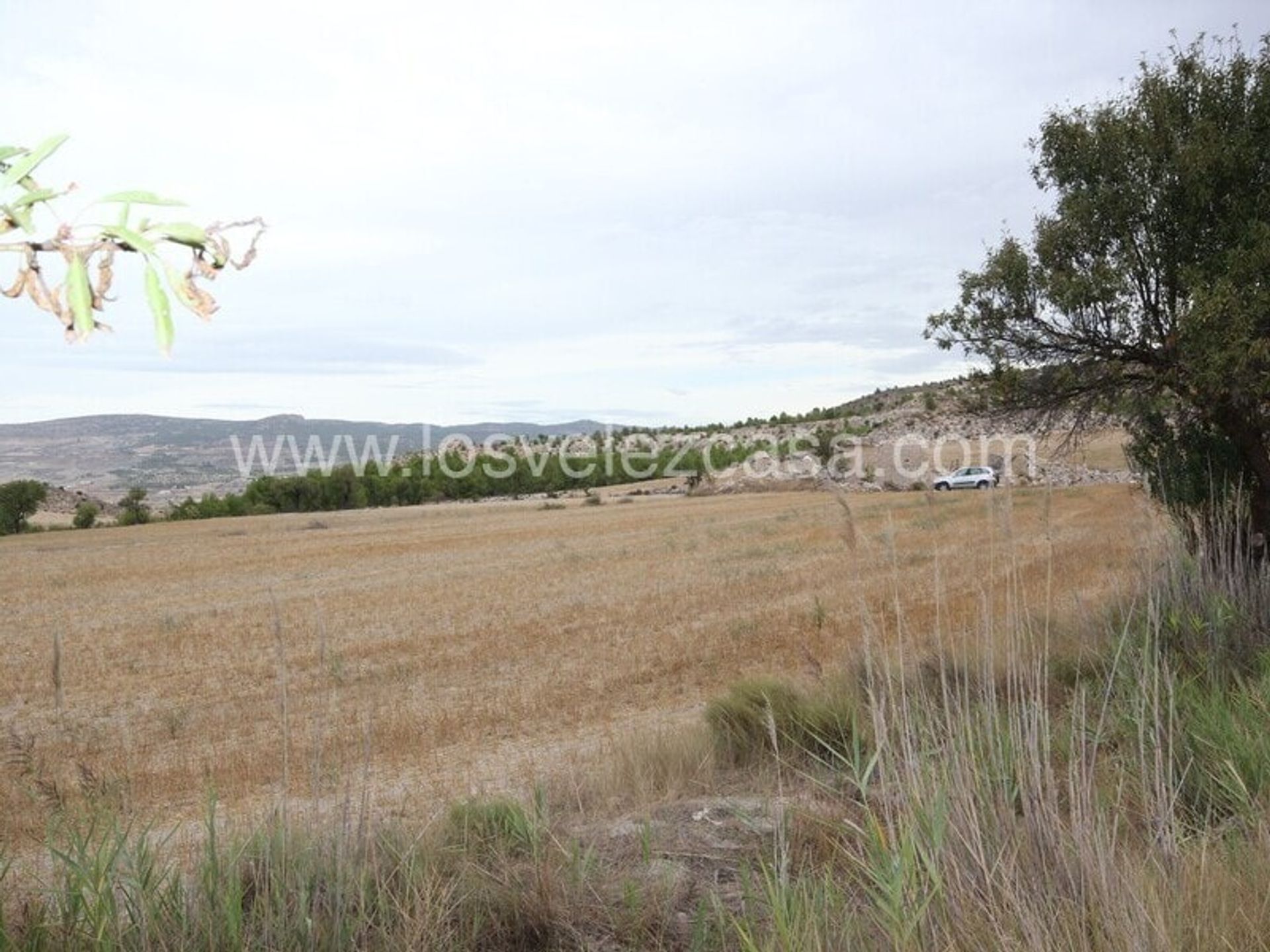 土地 在 María, Andalucía 10898549