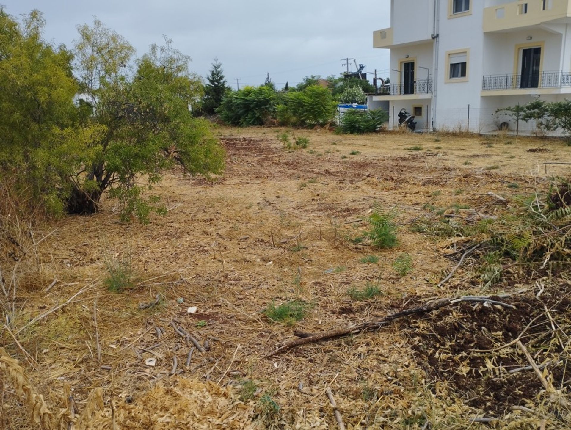 Land in Pitsiota, Sterea Ellada 10898782