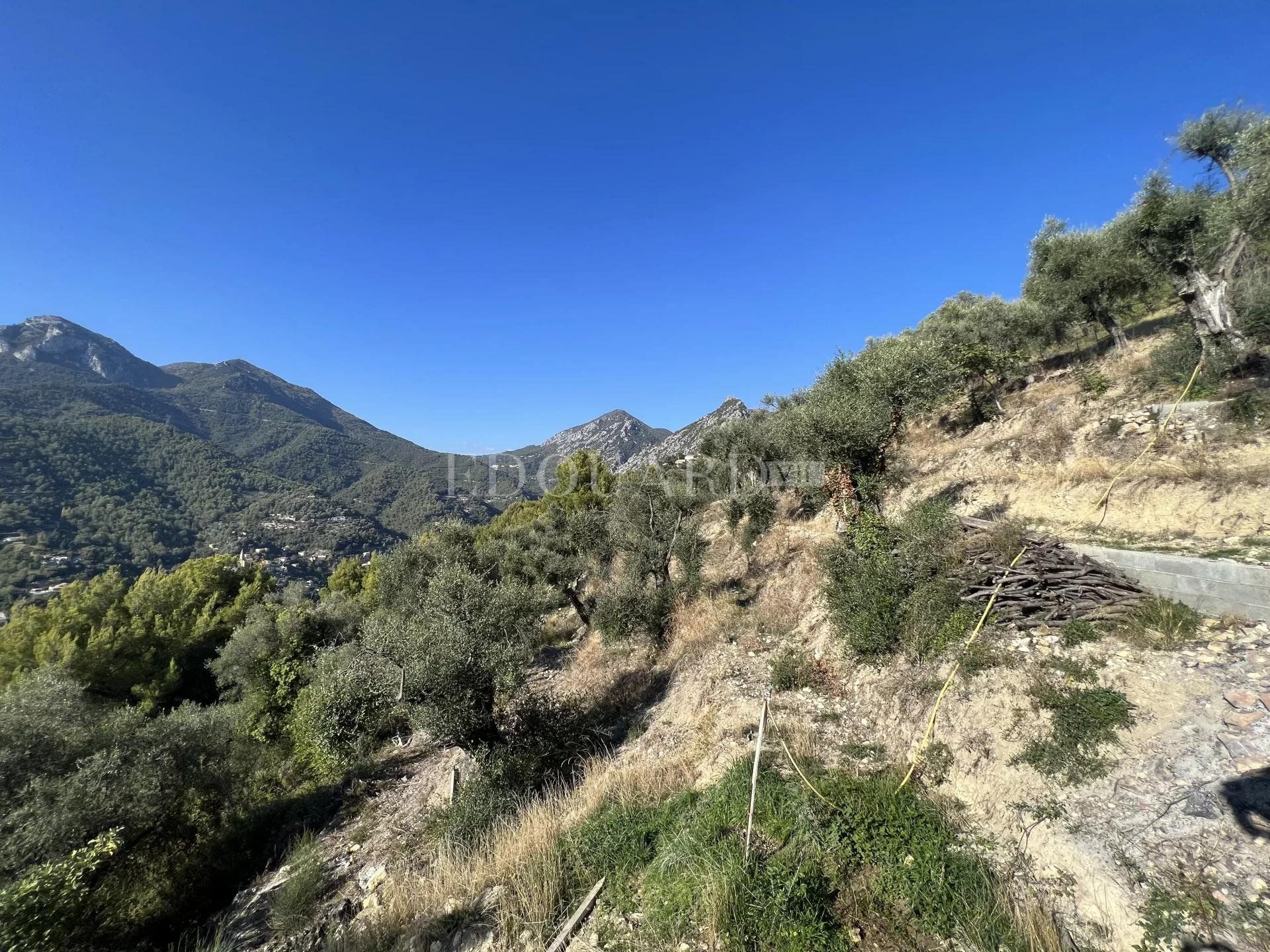 жилой дом в Castellar, Provence-Alpes-Côte d'Azur 10898826